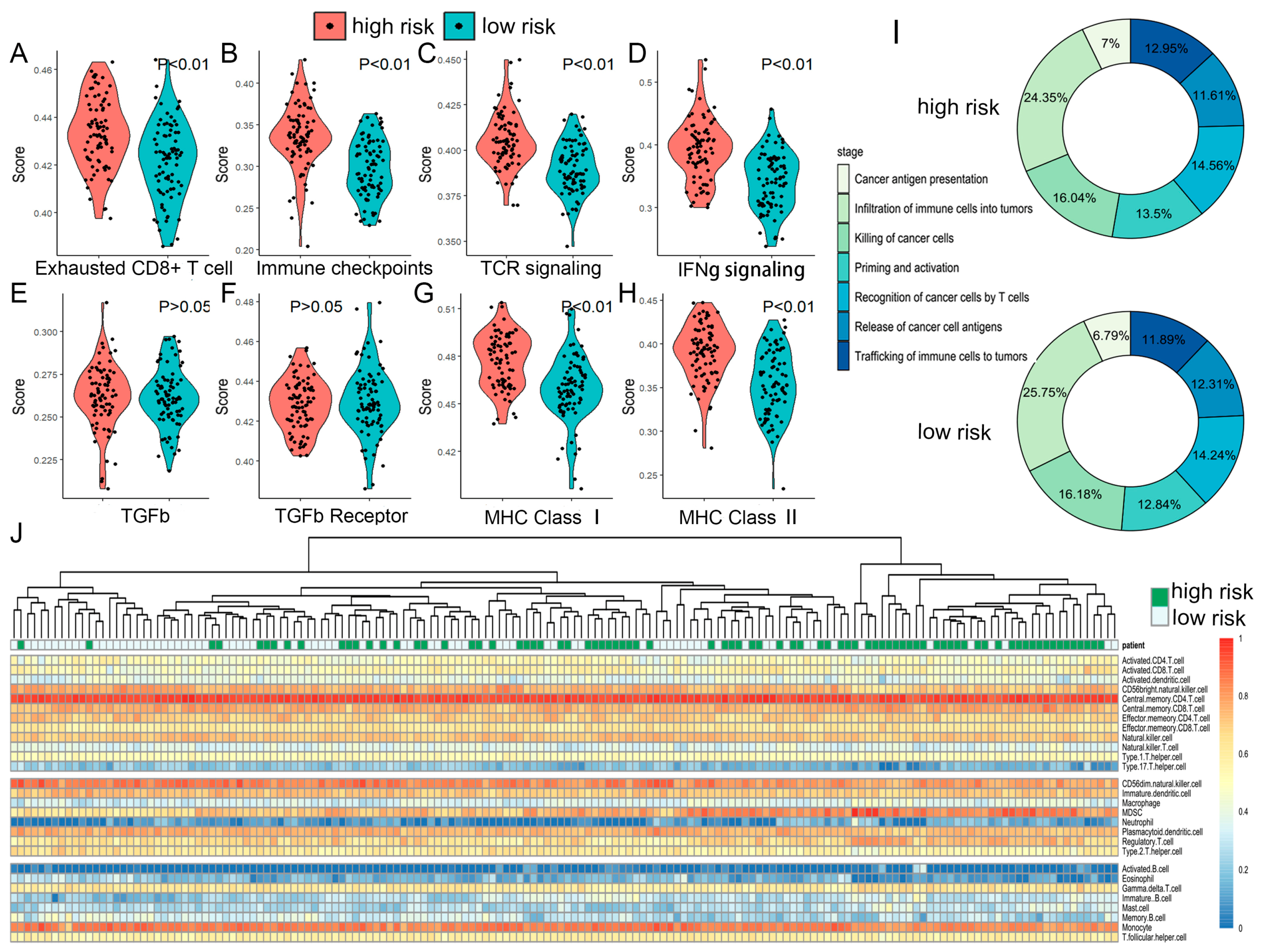 Ijms 26 09920 g008 Ijms 26 09920 g008