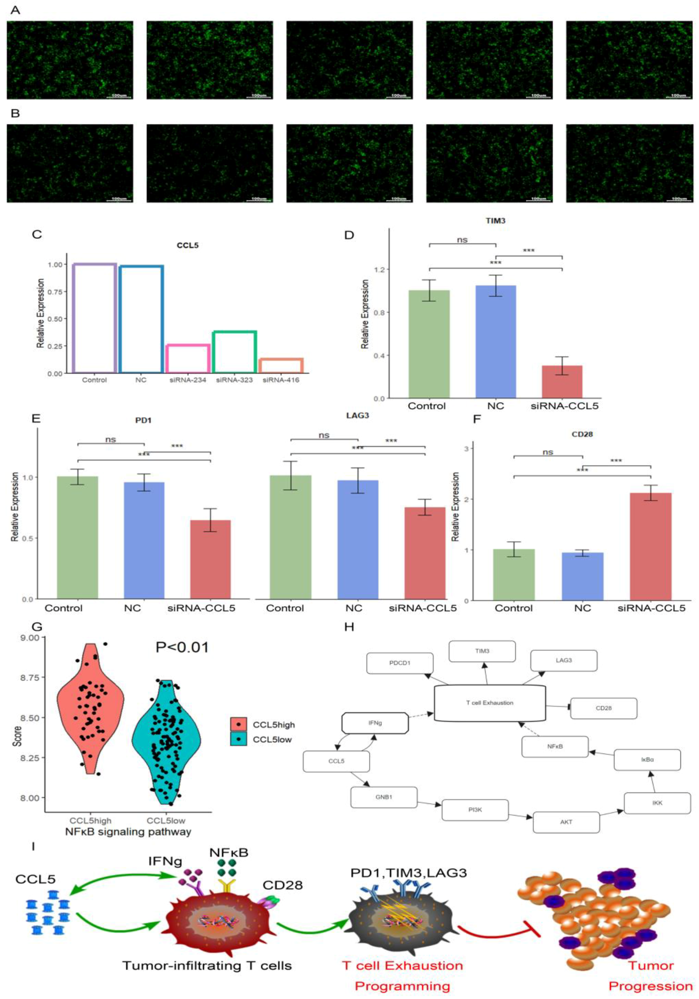 Ijms 26 09920 g010 Ijms 26 09920 g010