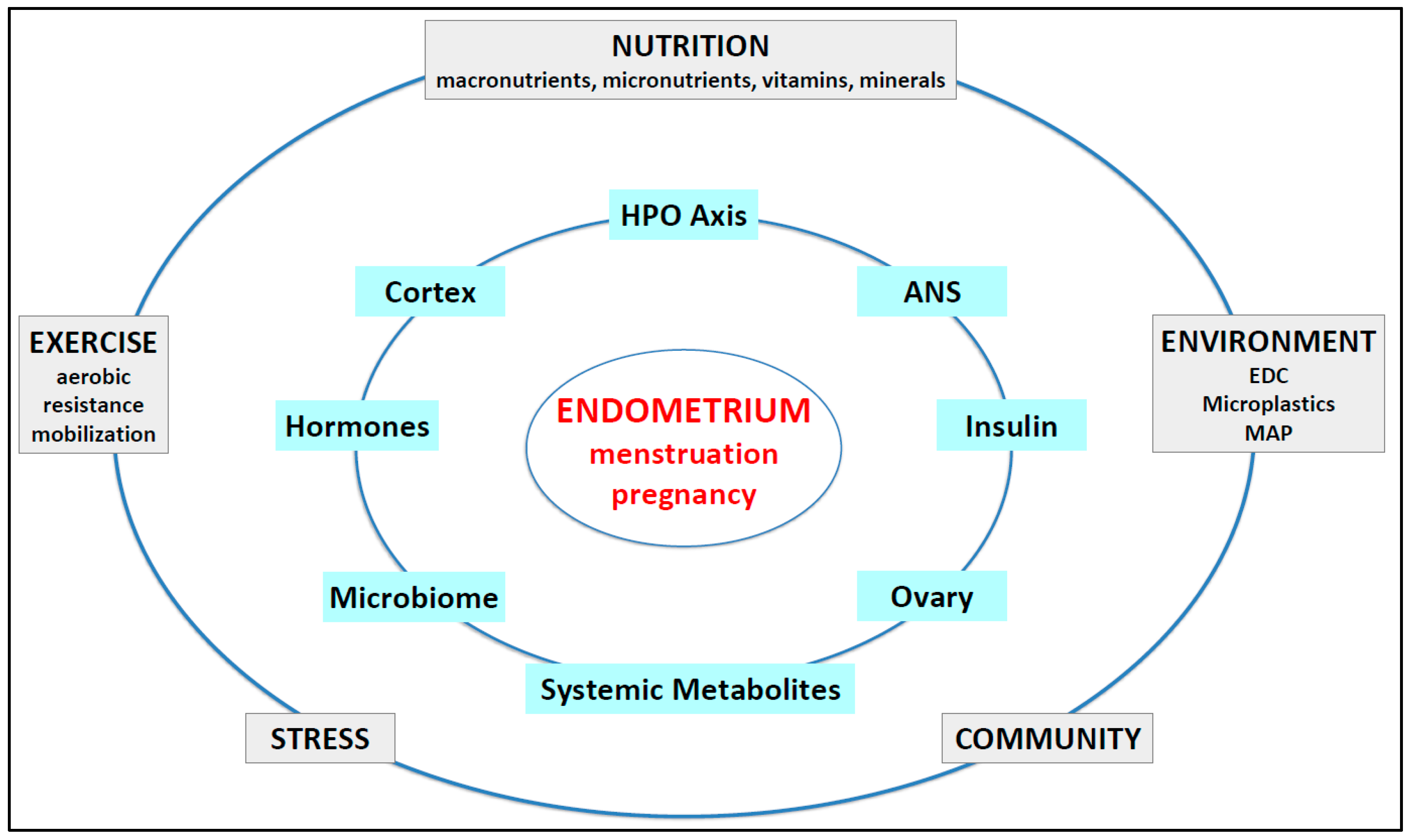 Molecular Impact of Metabolic and Endocrine Disturbance on