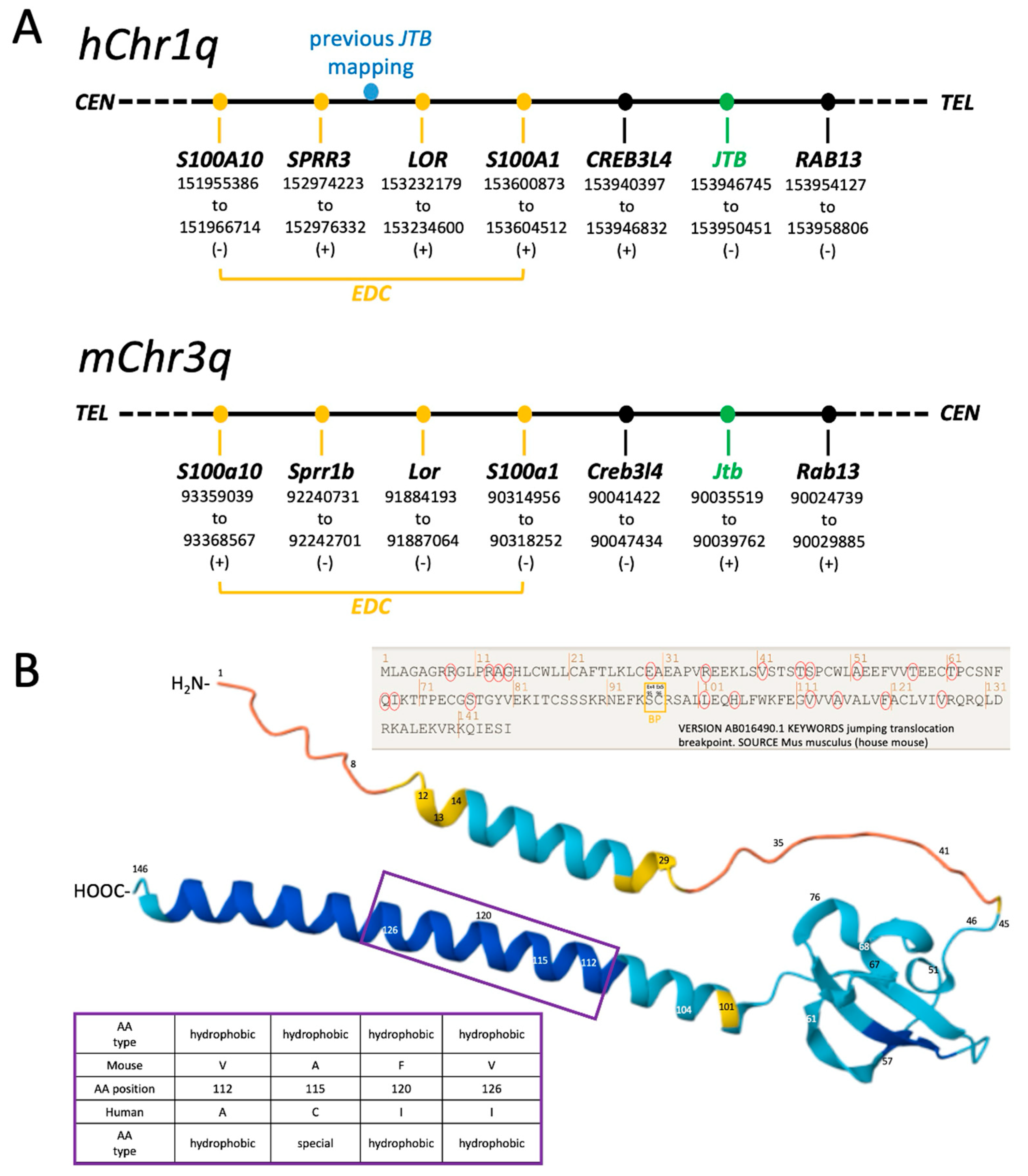 Ijms 26 09952 g001 Ijms 26 09952 g001