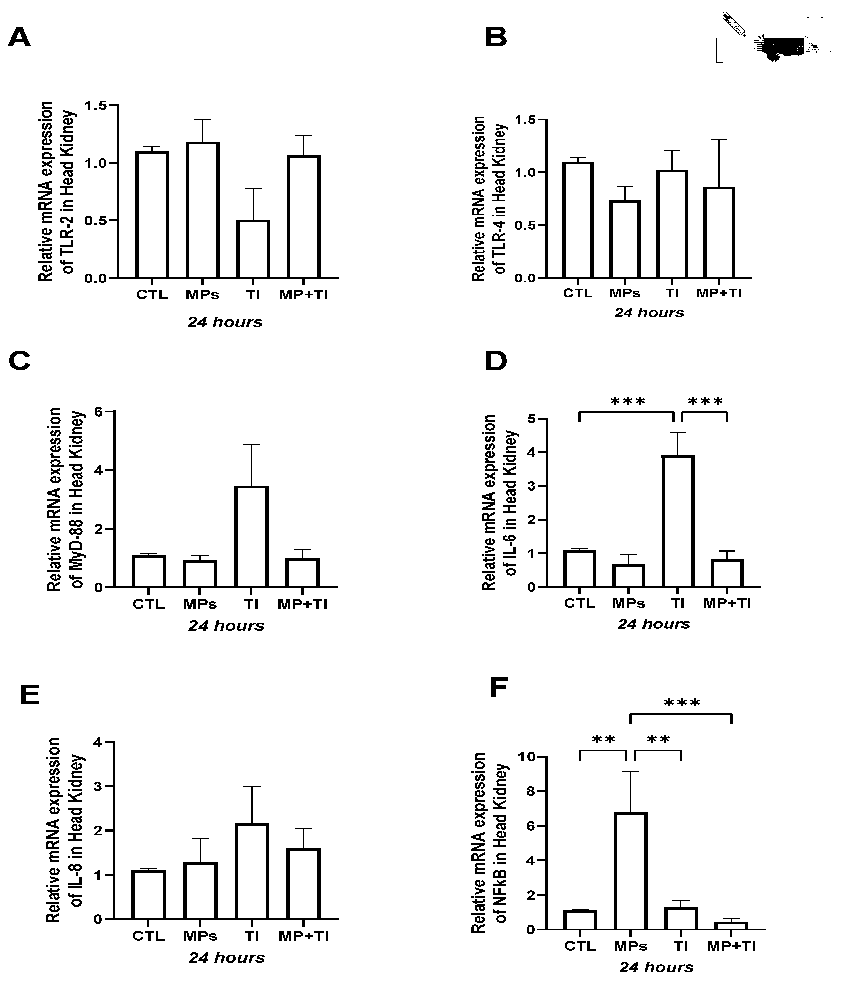 Ijms 26 09968 g001 Ijms 26 09968 g001