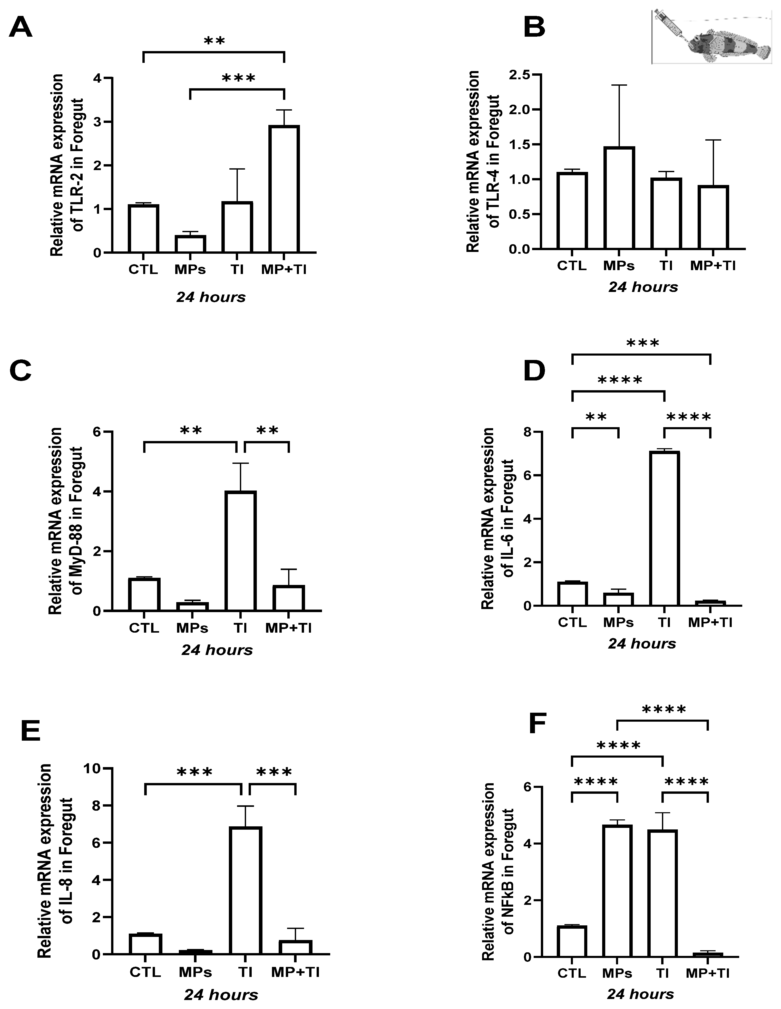 Ijms 26 09968 g003 Ijms 26 09968 g003