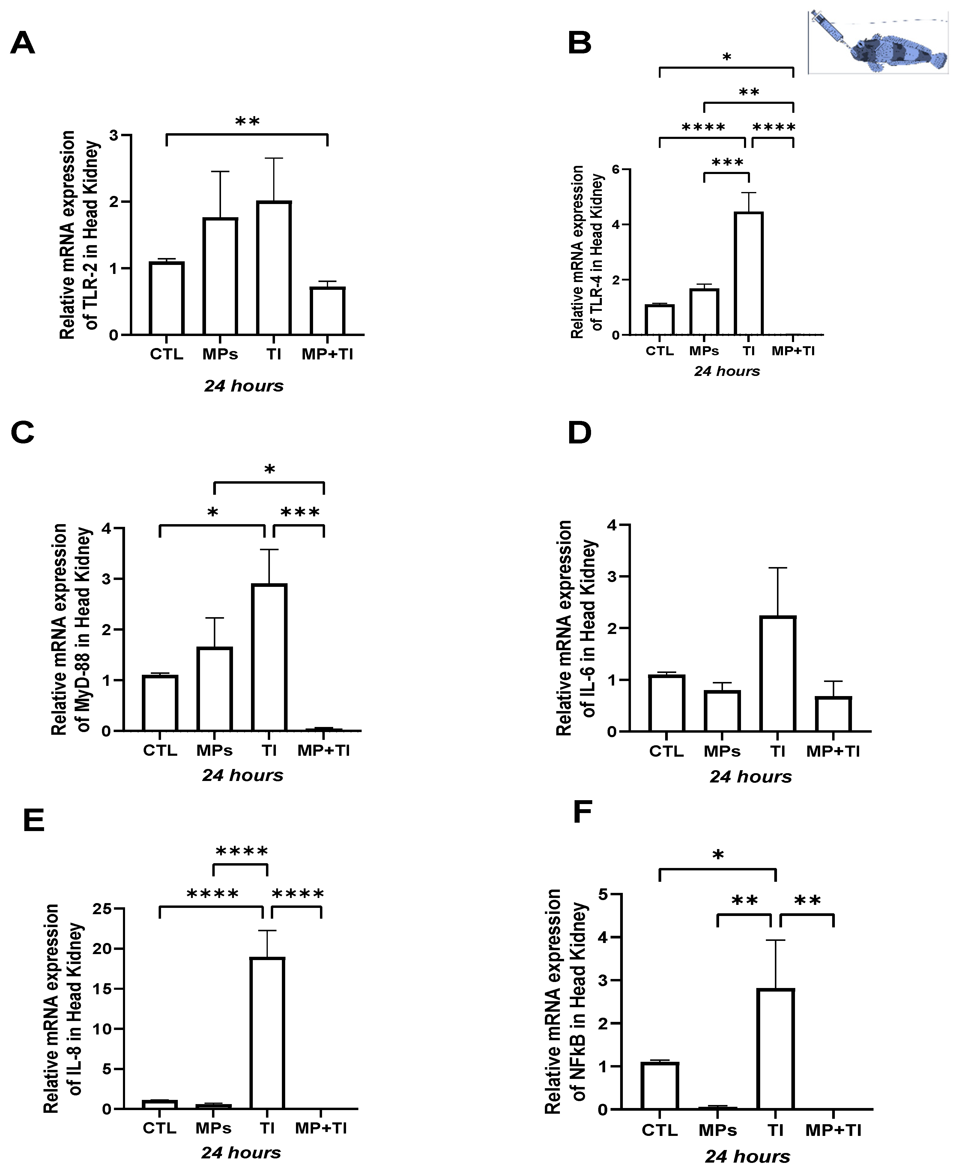 Ijms 26 09968 g004 Ijms 26 09968 g004