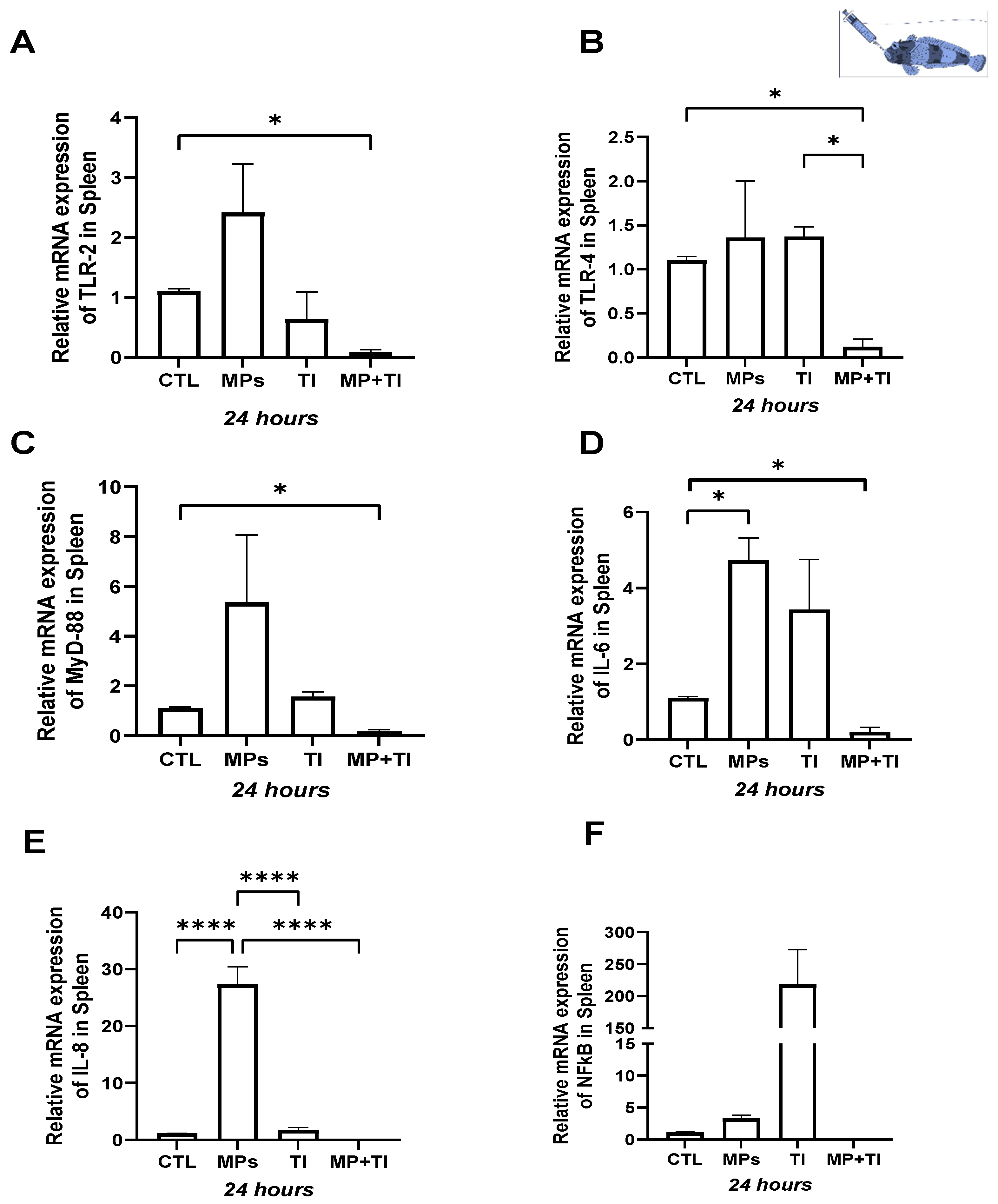 Ijms 26 09968 g005 Ijms 26 09968 g005
