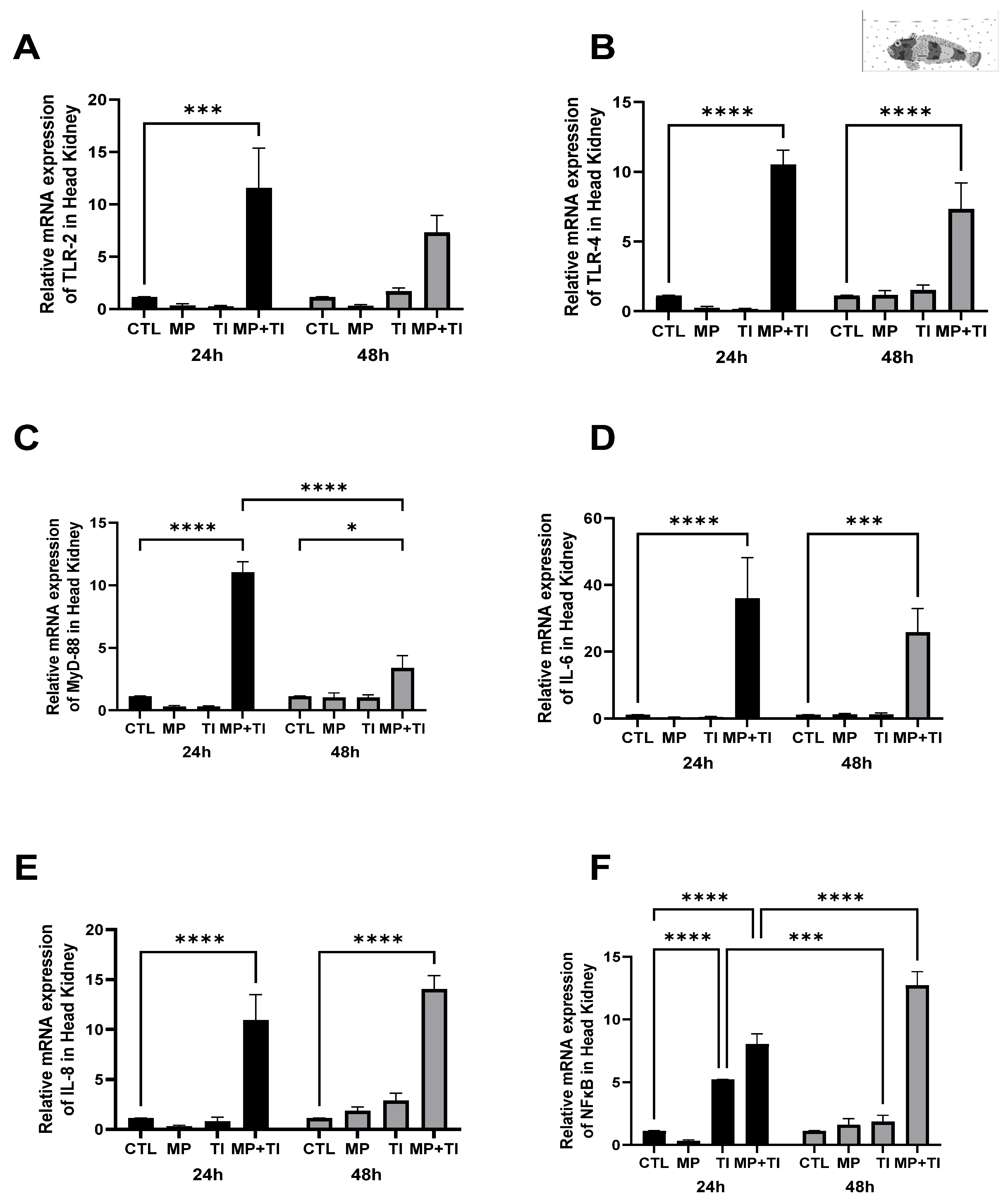 Ijms 26 09968 g007 Ijms 26 09968 g007