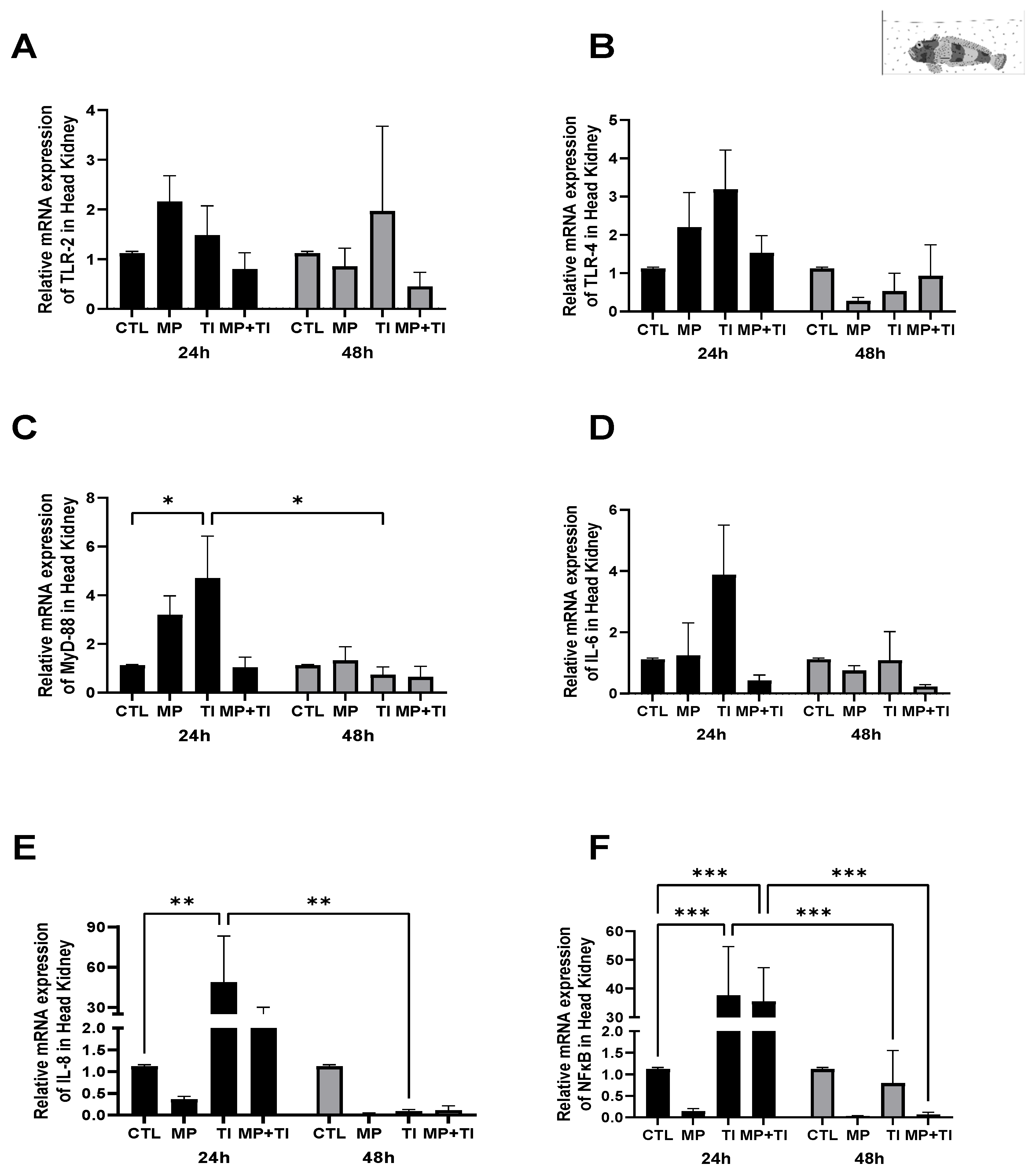 Ijms 26 09968 g010 Ijms 26 09968 g010