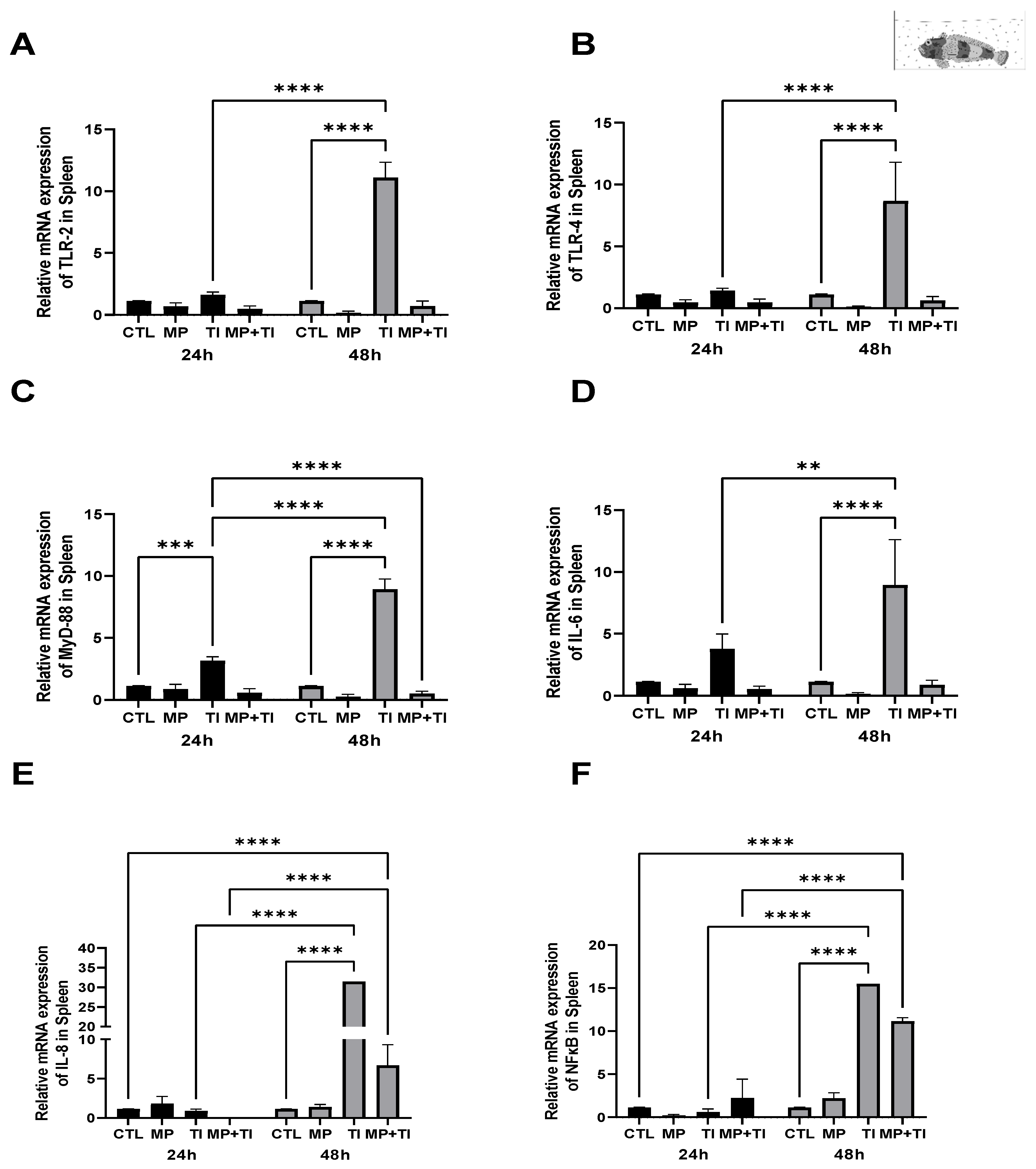 Ijms 26 09968 g011 Ijms 26 09968 g011