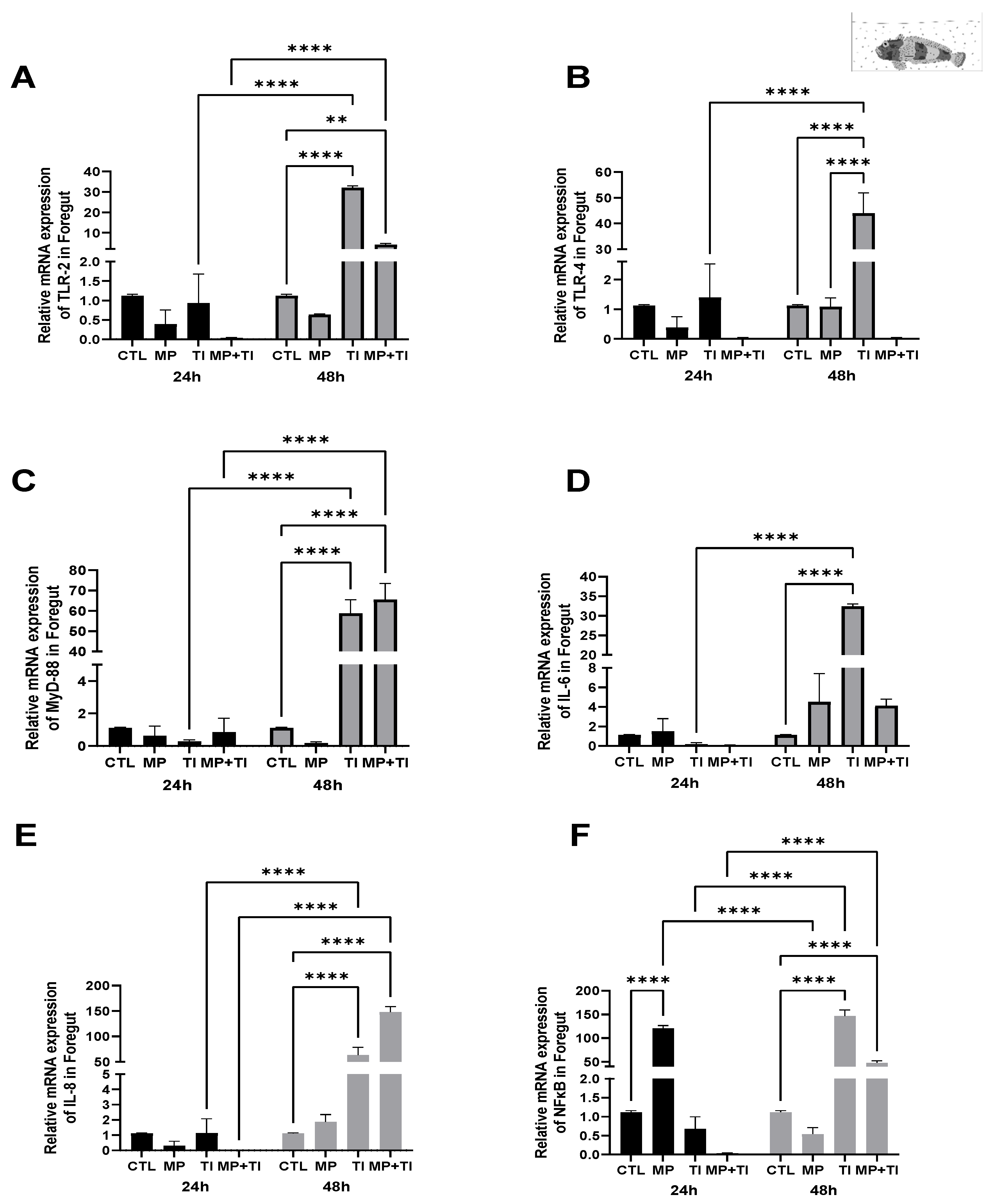 Ijms 26 09968 g012 Ijms 26 09968 g012