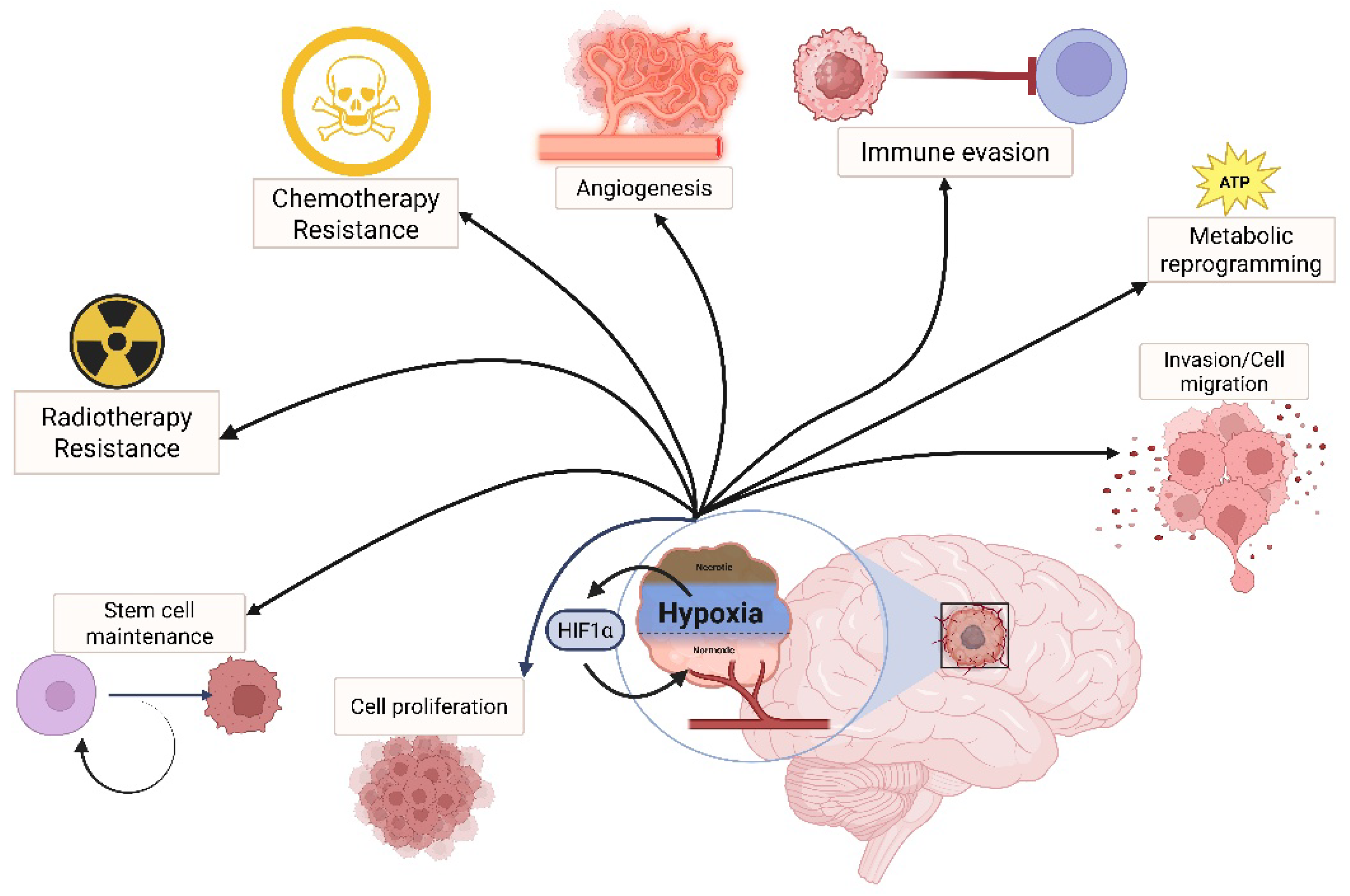 Ijms 26 09979 g001 Ijms 26 09979 g001
