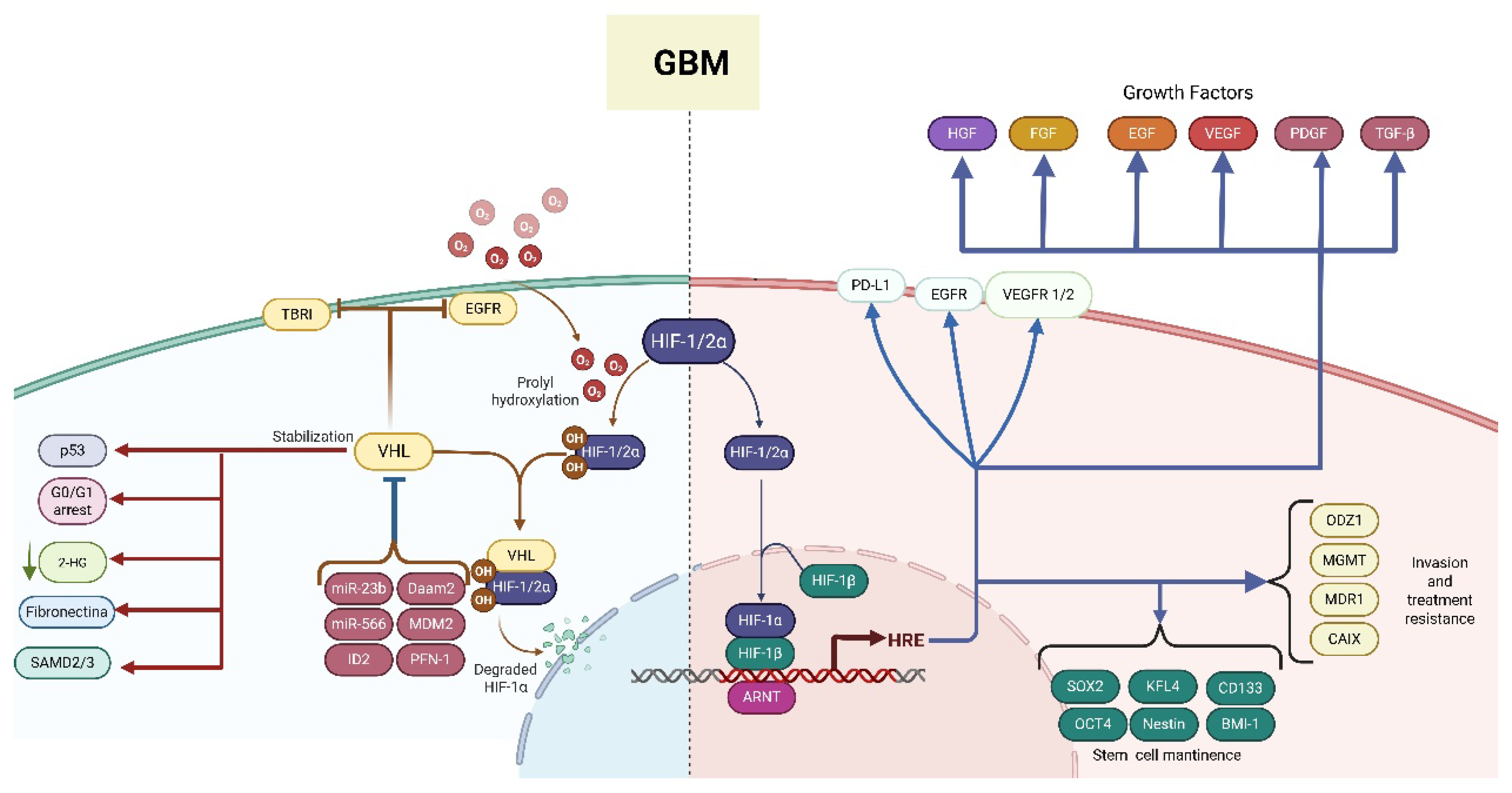 Ijms 26 09979 g002 Ijms 26 09979 g002