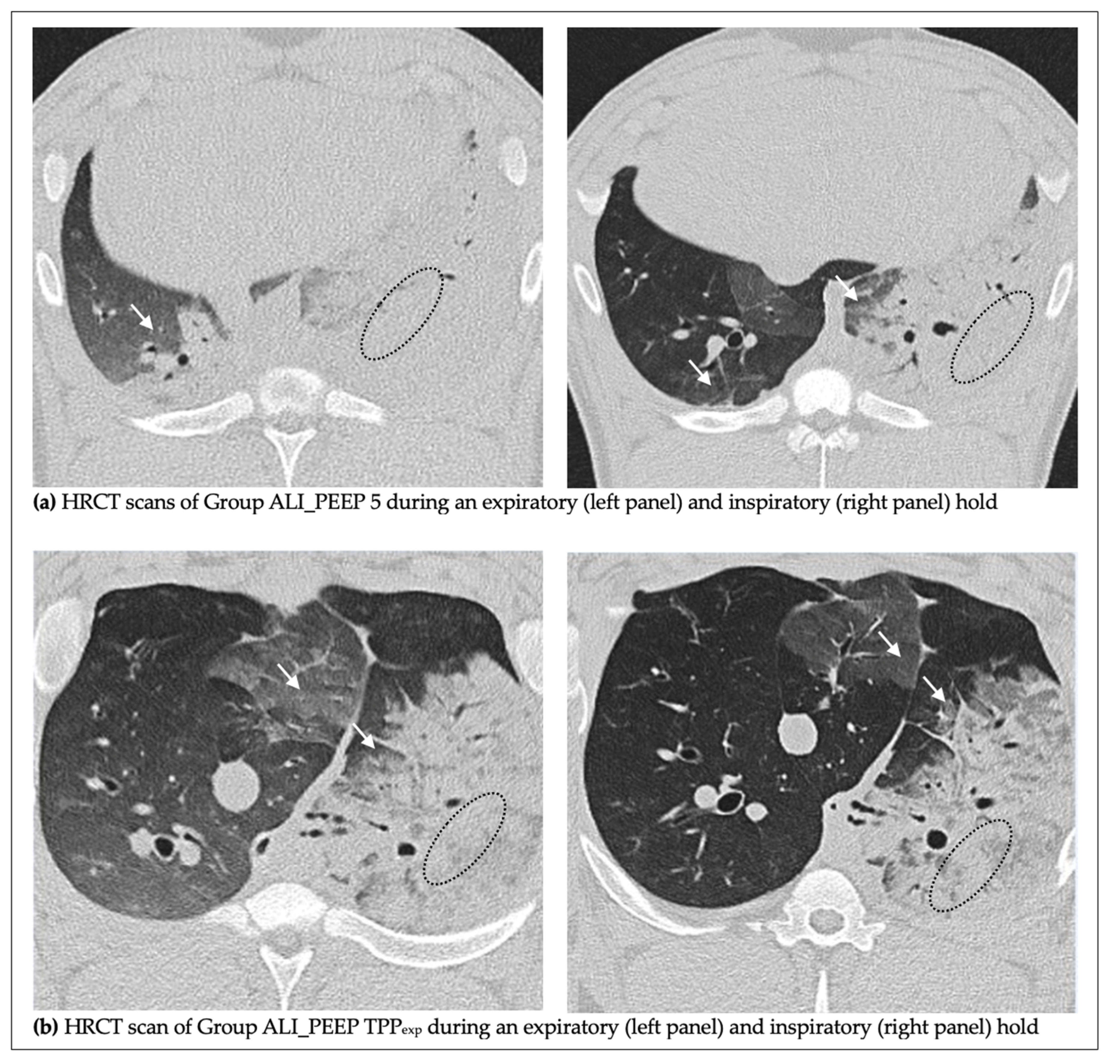 Ijms 26 09985 g002 Ijms 26 09985 g002