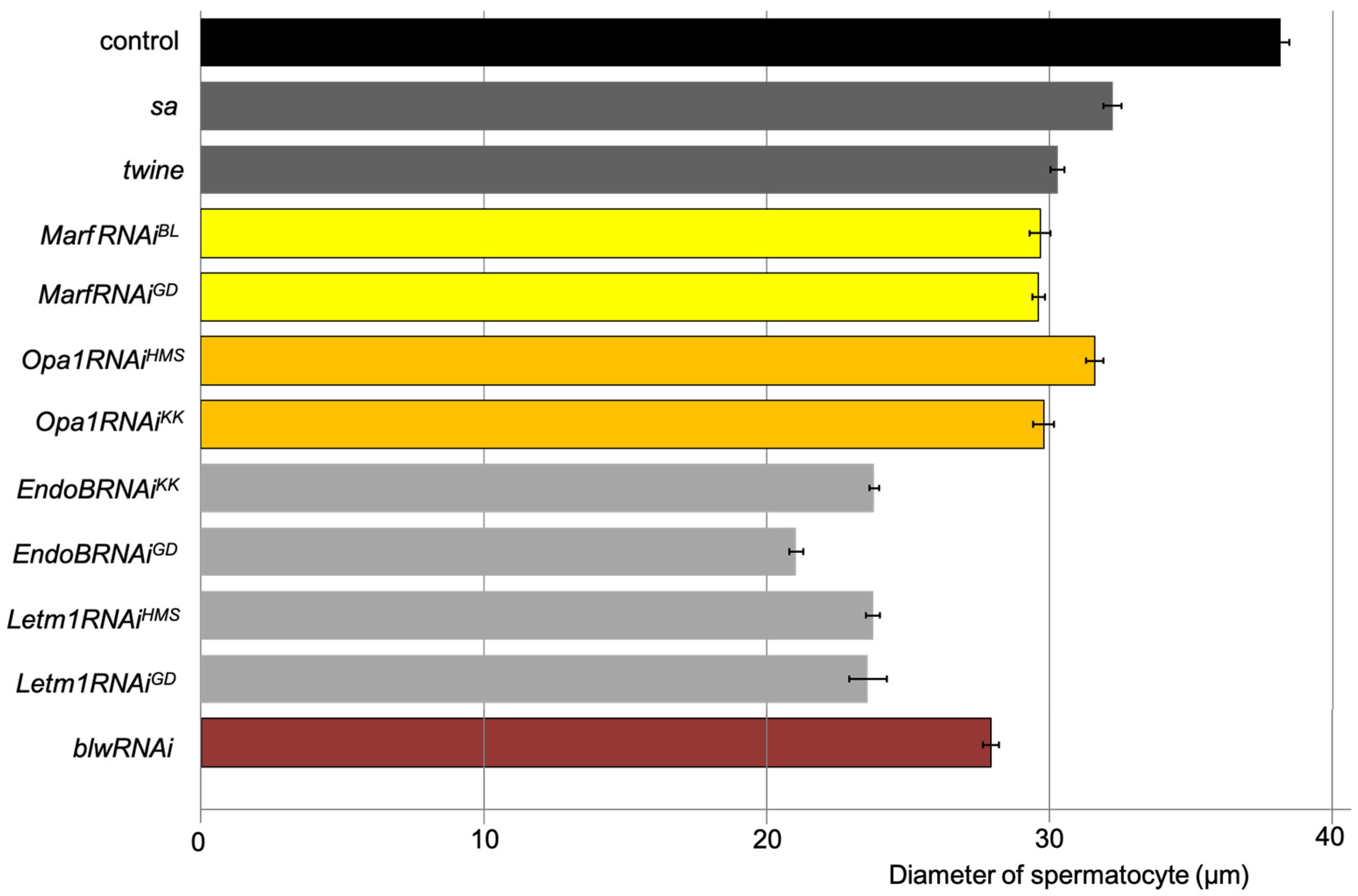 Ijms 26 09991 g005 Ijms 26 09991 g005