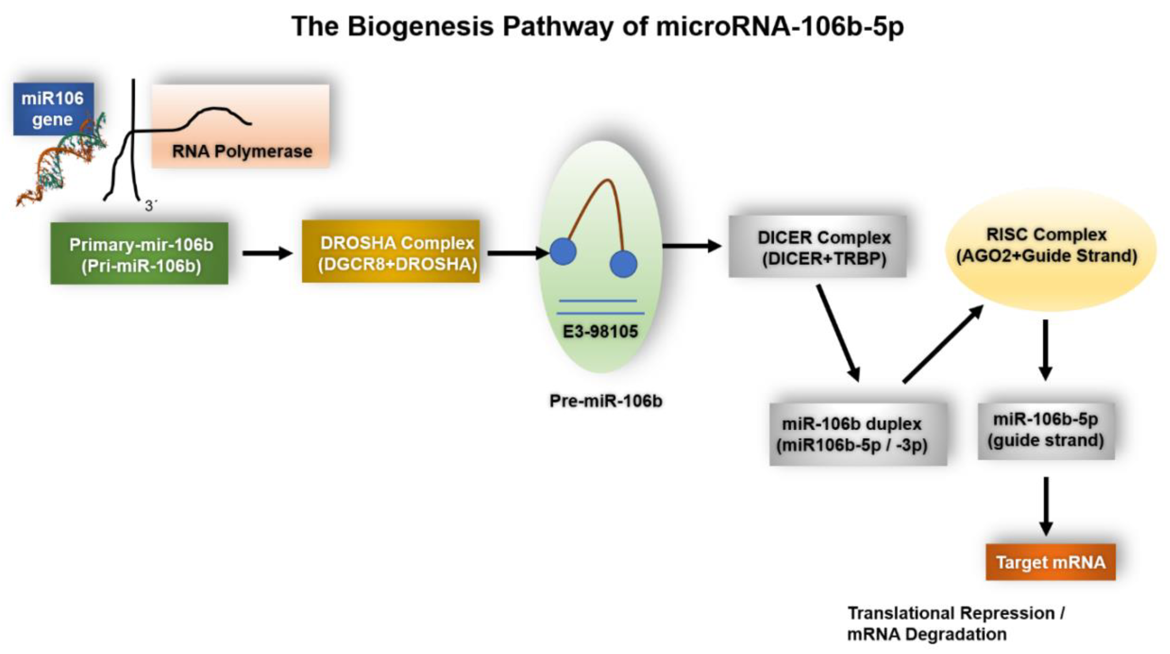 Ijms 26 10002 g001 Ijms 26 10002 g001