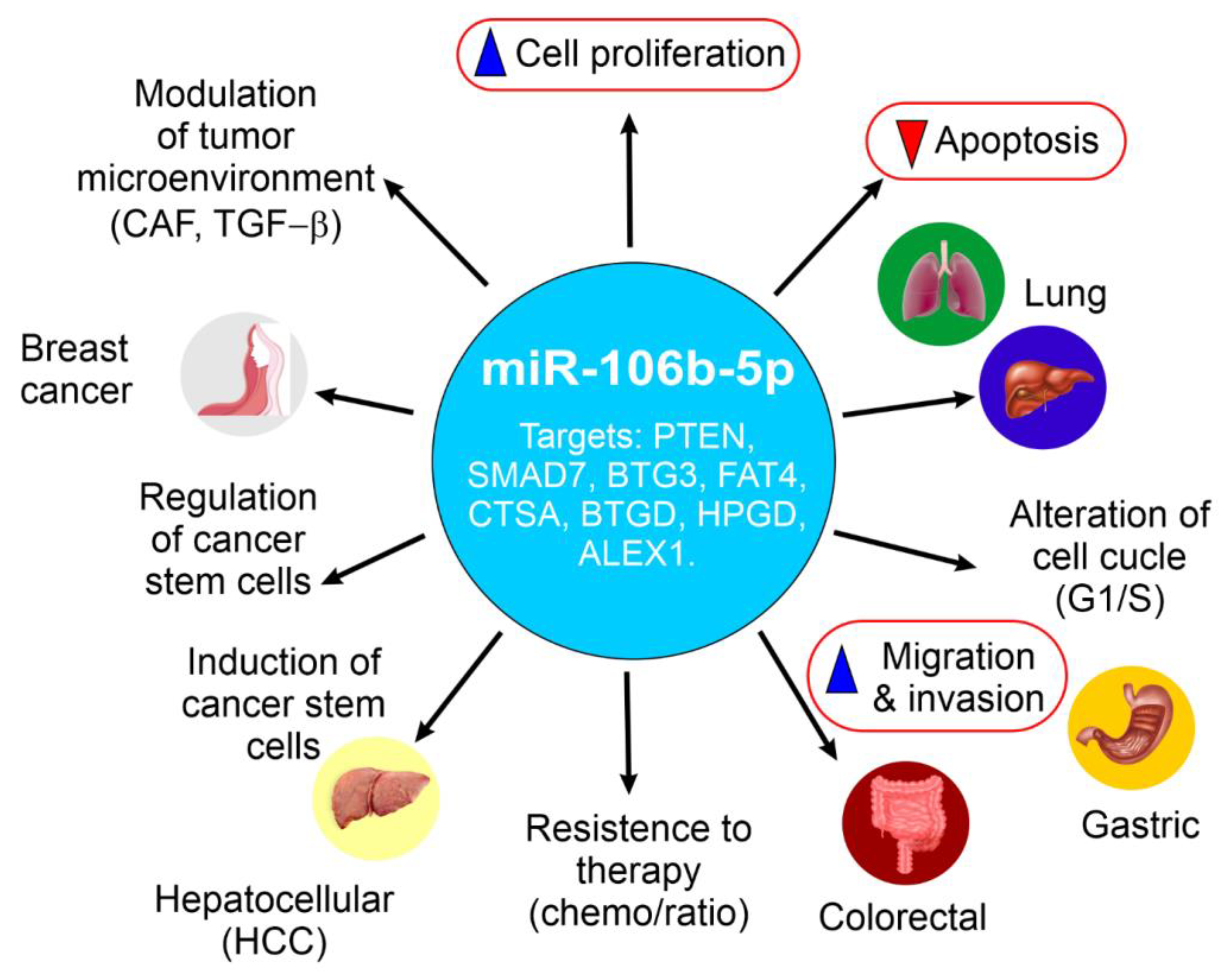 Ijms 26 10002 g002 Ijms 26 10002 g002