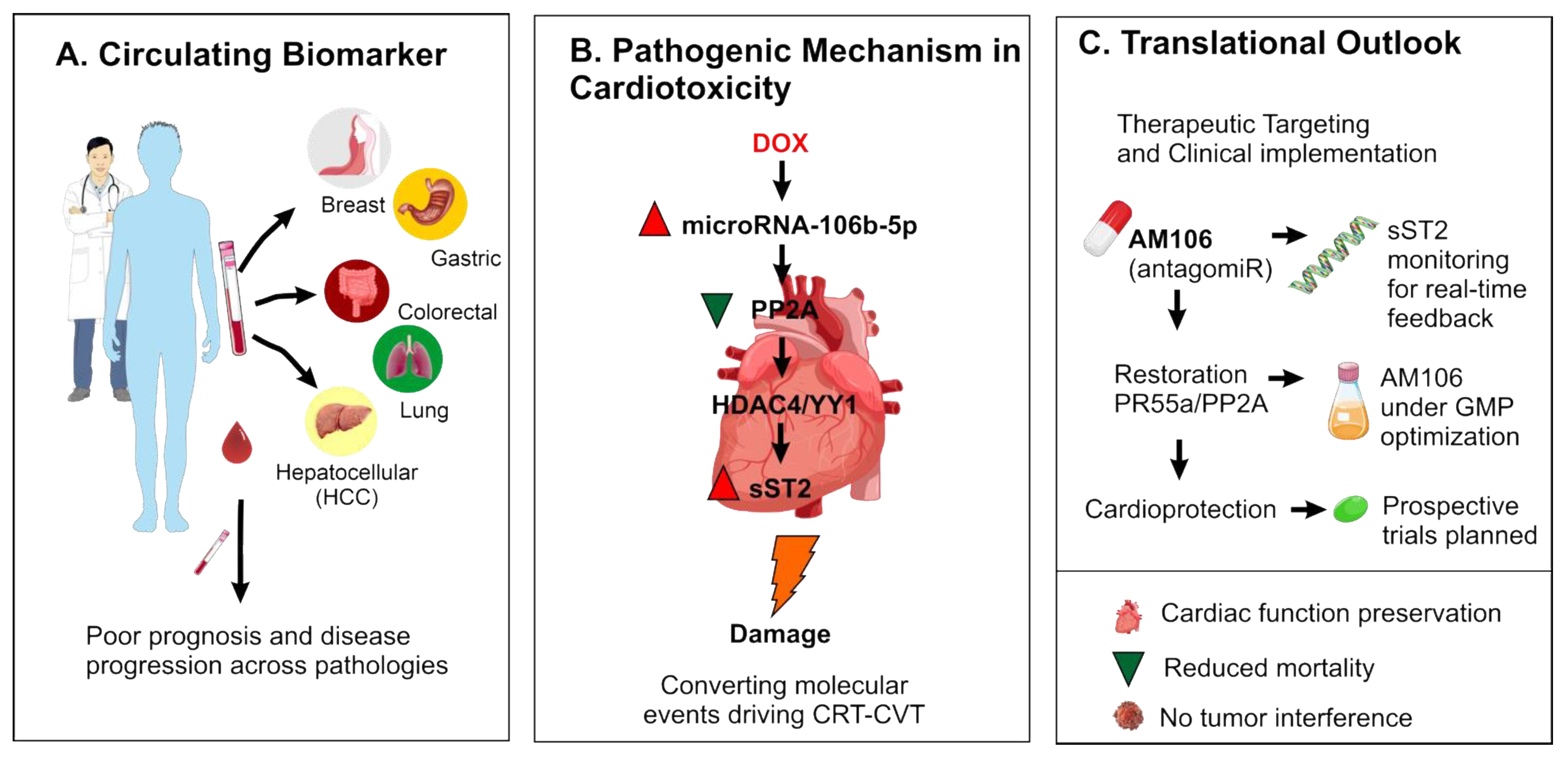 Ijms 26 10002 g005 Ijms 26 10002 g005