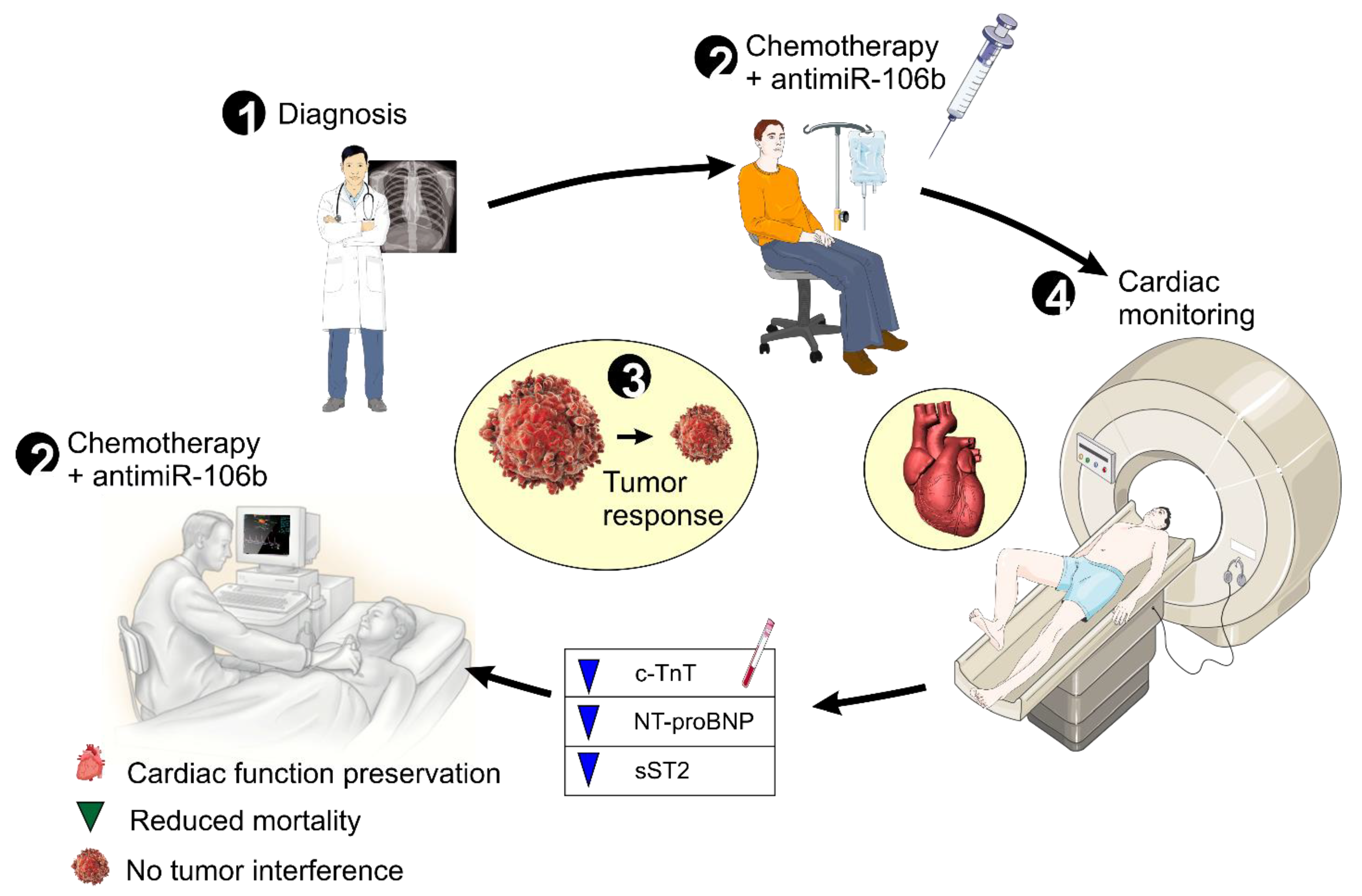 Ijms 26 10002 g006 Ijms 26 10002 g006