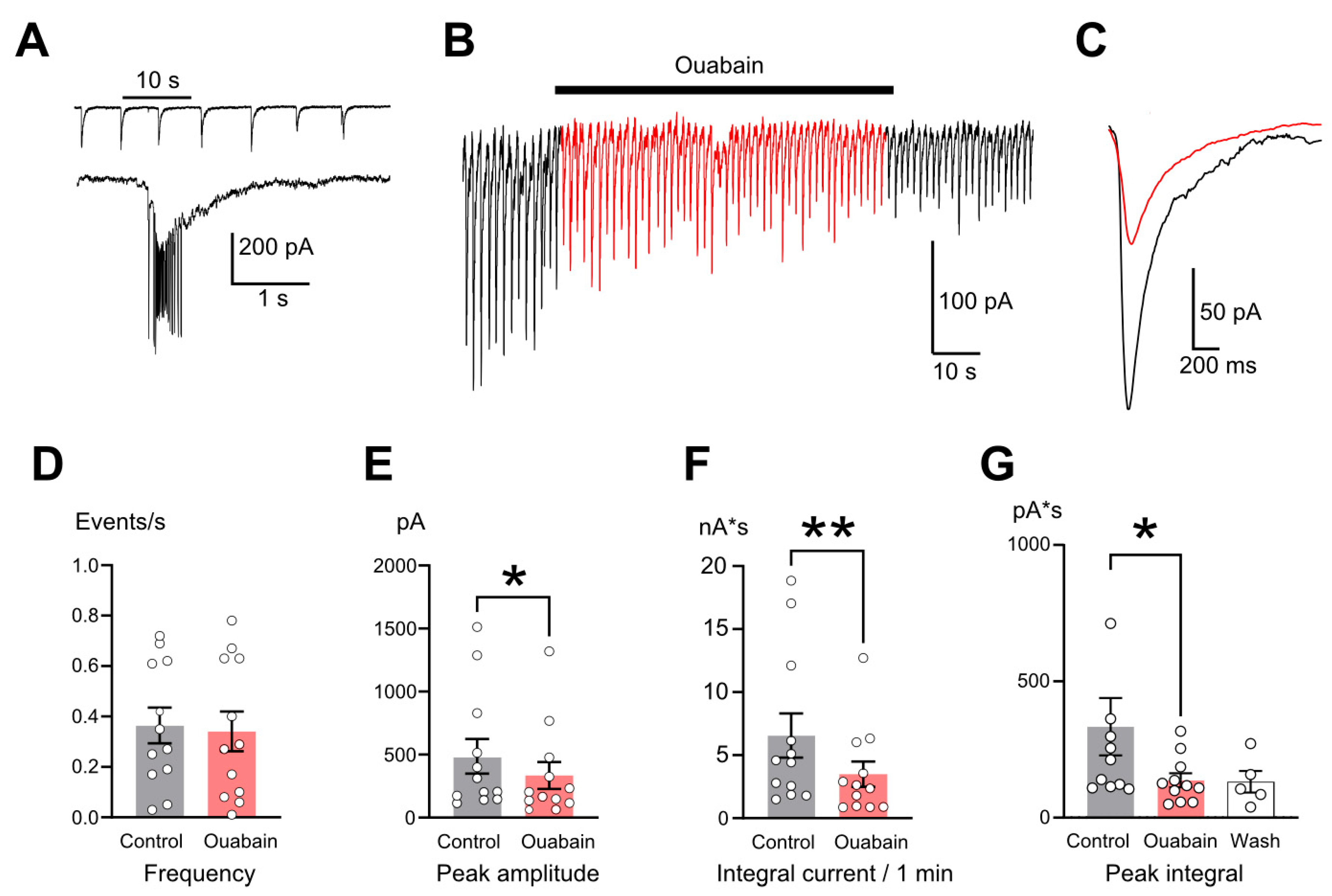 Ijms 26 10004 g001 Ijms 26 10004 g001