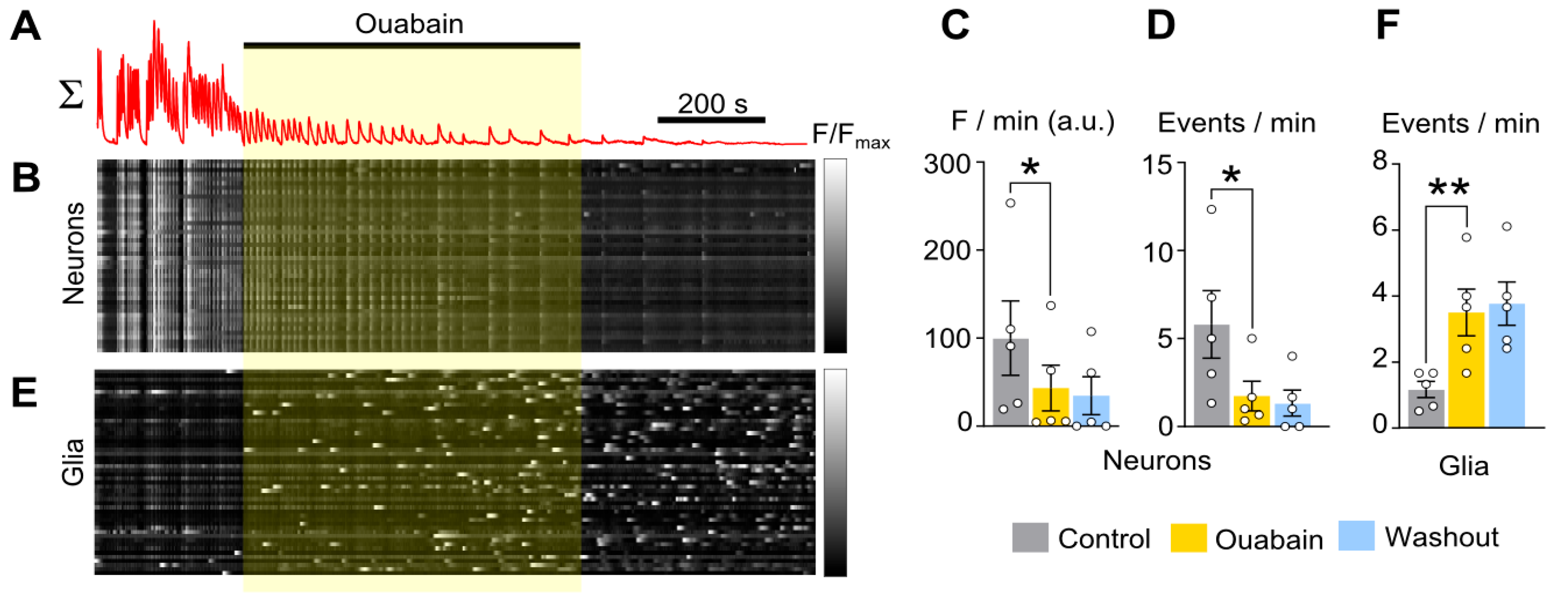 Ijms 26 10004 g003 Ijms 26 10004 g003