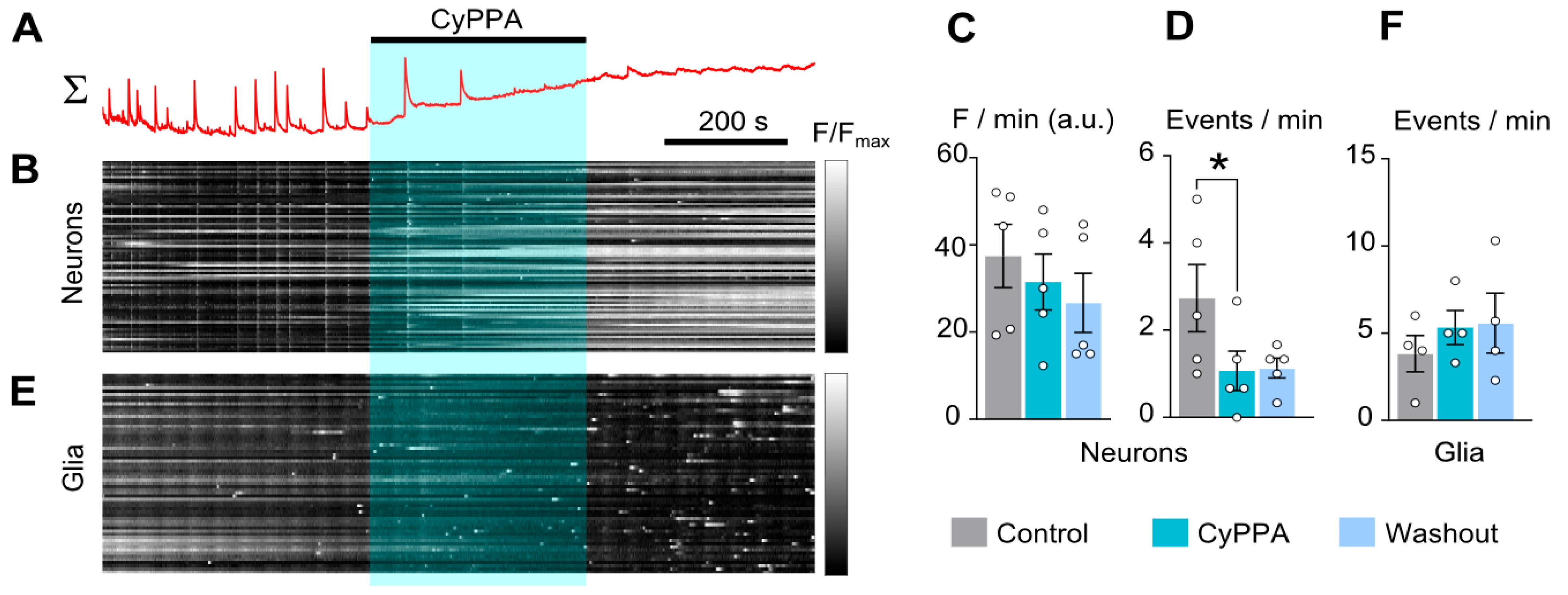 Ijms 26 10004 g004 Ijms 26 10004 g004