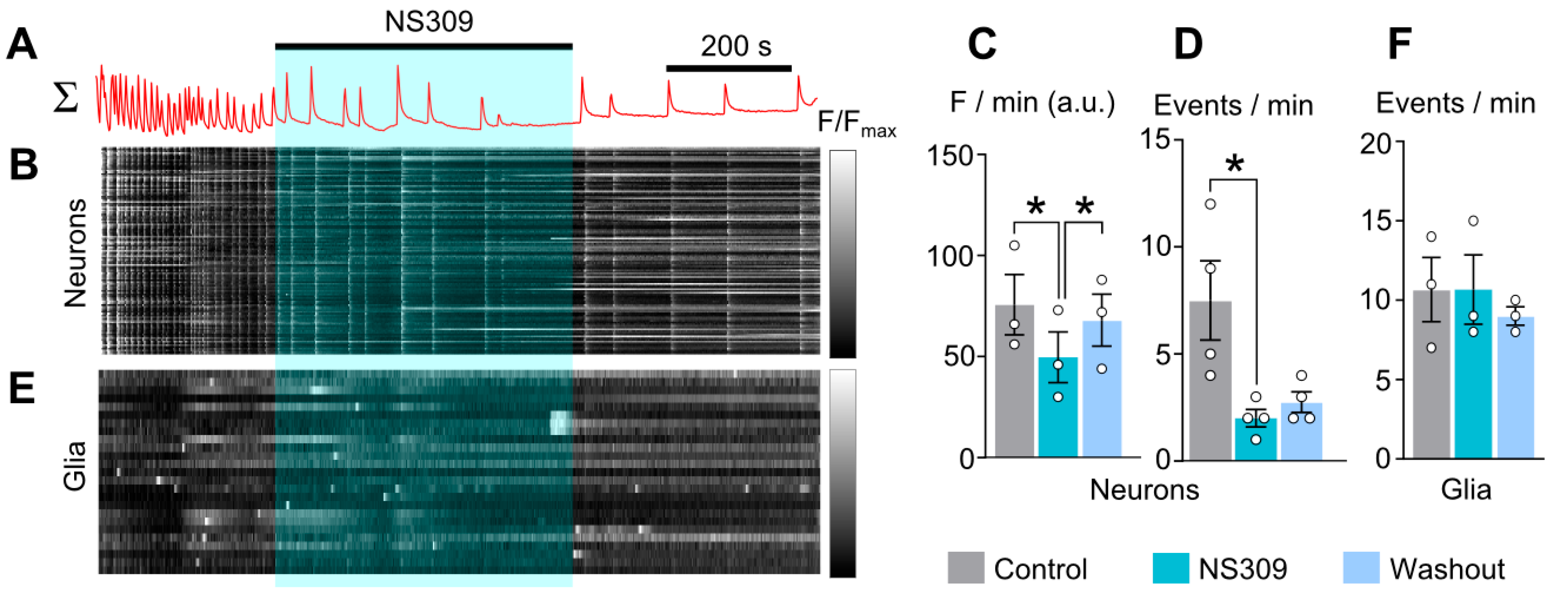 Ijms 26 10004 g006 Ijms 26 10004 g006