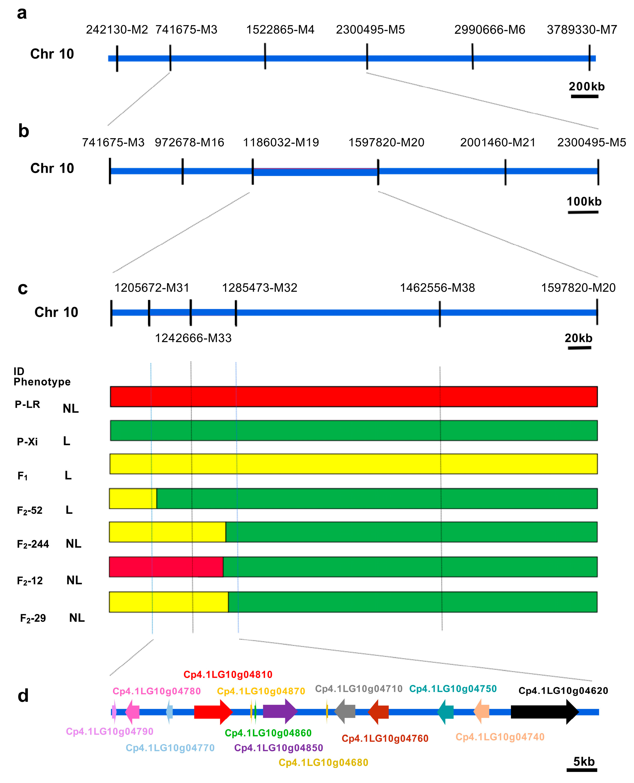 Ijms 26 10042 g003 Ijms 26 10042 g003