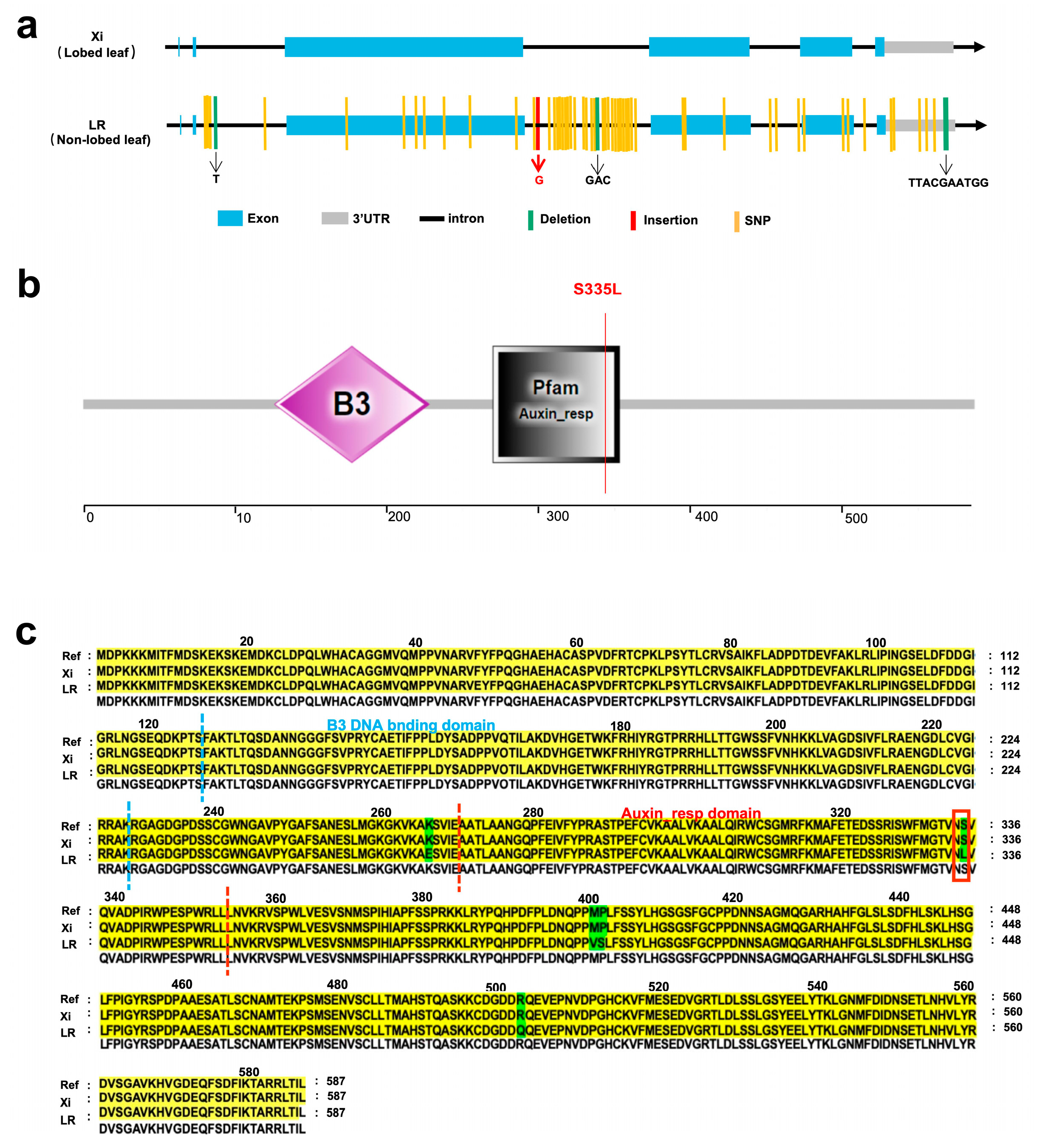 Ijms 26 10042 g005 Ijms 26 10042 g005