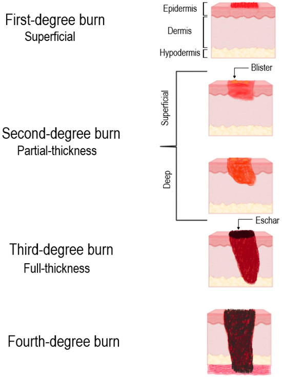 Therapeutic Potential of Modulating Gene-MicroRNA Crosstalk in