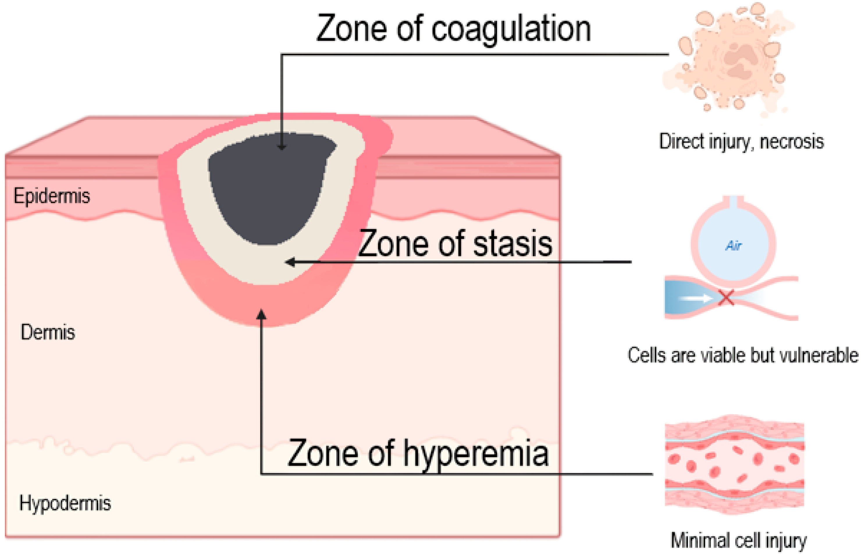 Ijms 26 10060 g002 Ijms 26 10060 g002
