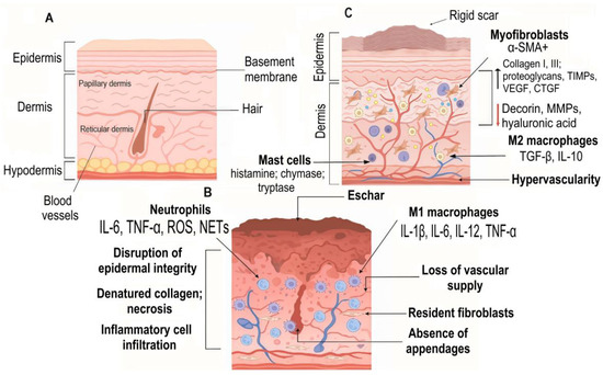 Therapeutic Potential of Modulating Gene-MicroRNA Crosstalk in