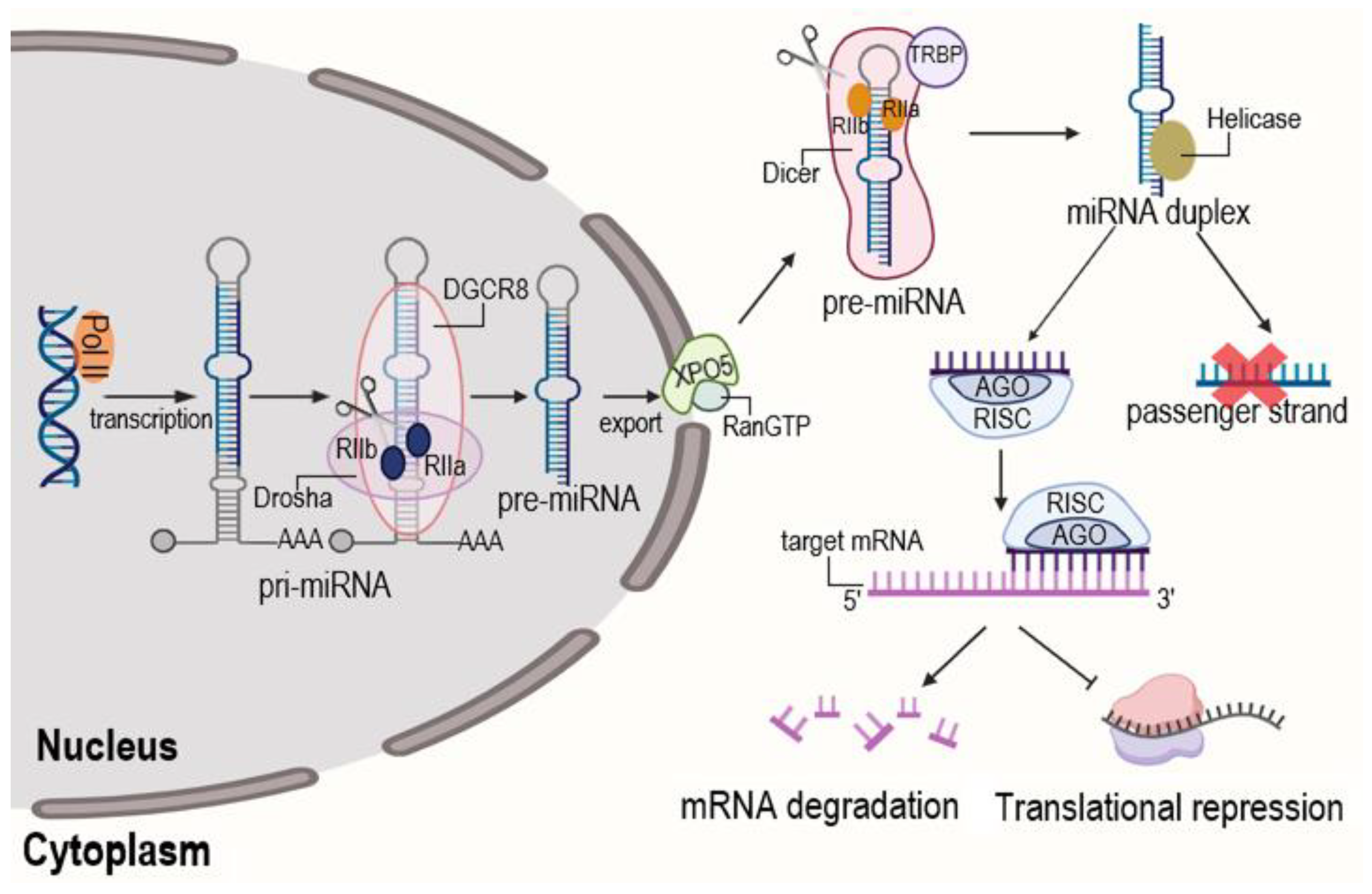 Ijms 26 10060 g005 Ijms 26 10060 g005
