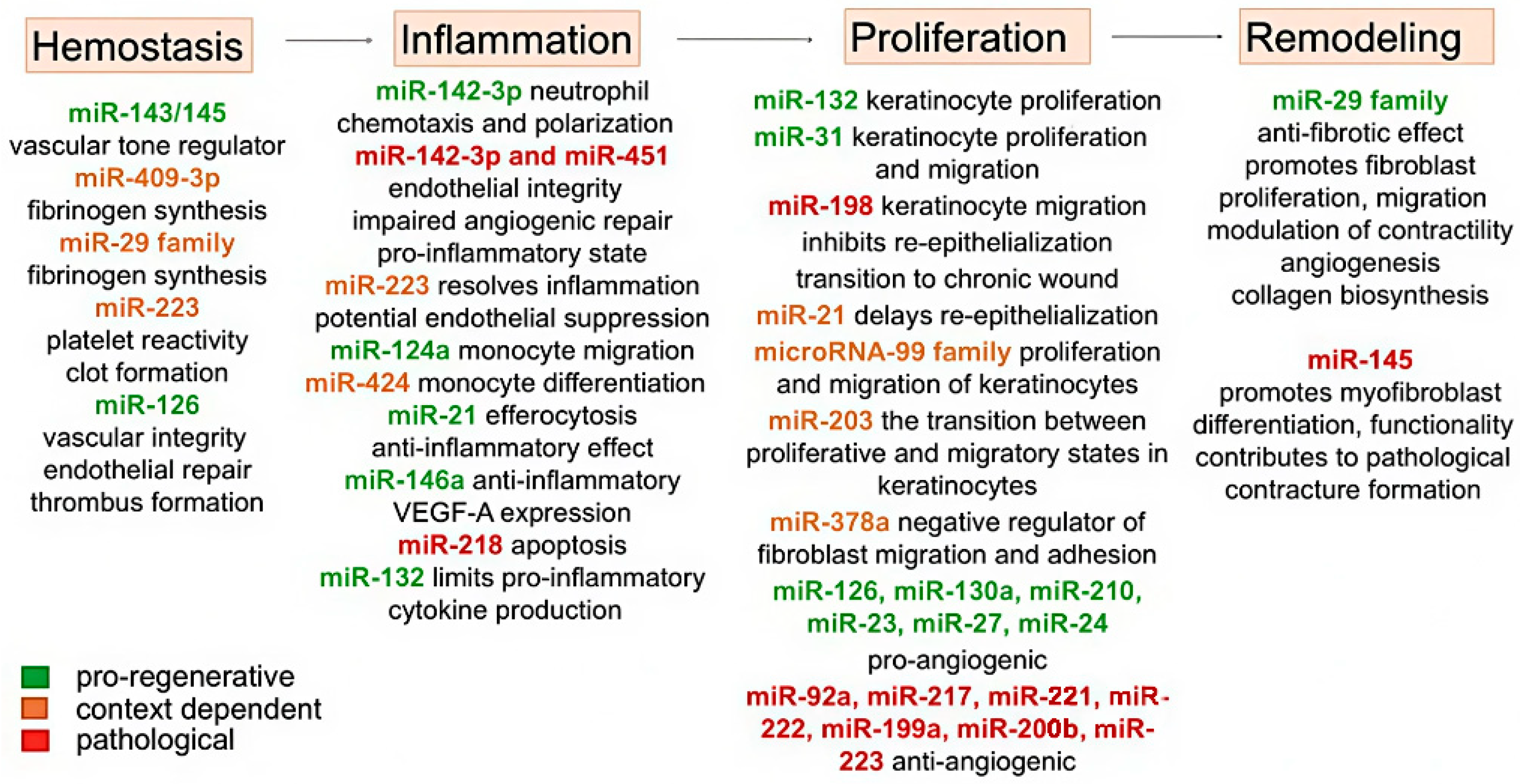 Ijms 26 10060 g006 Ijms 26 10060 g006