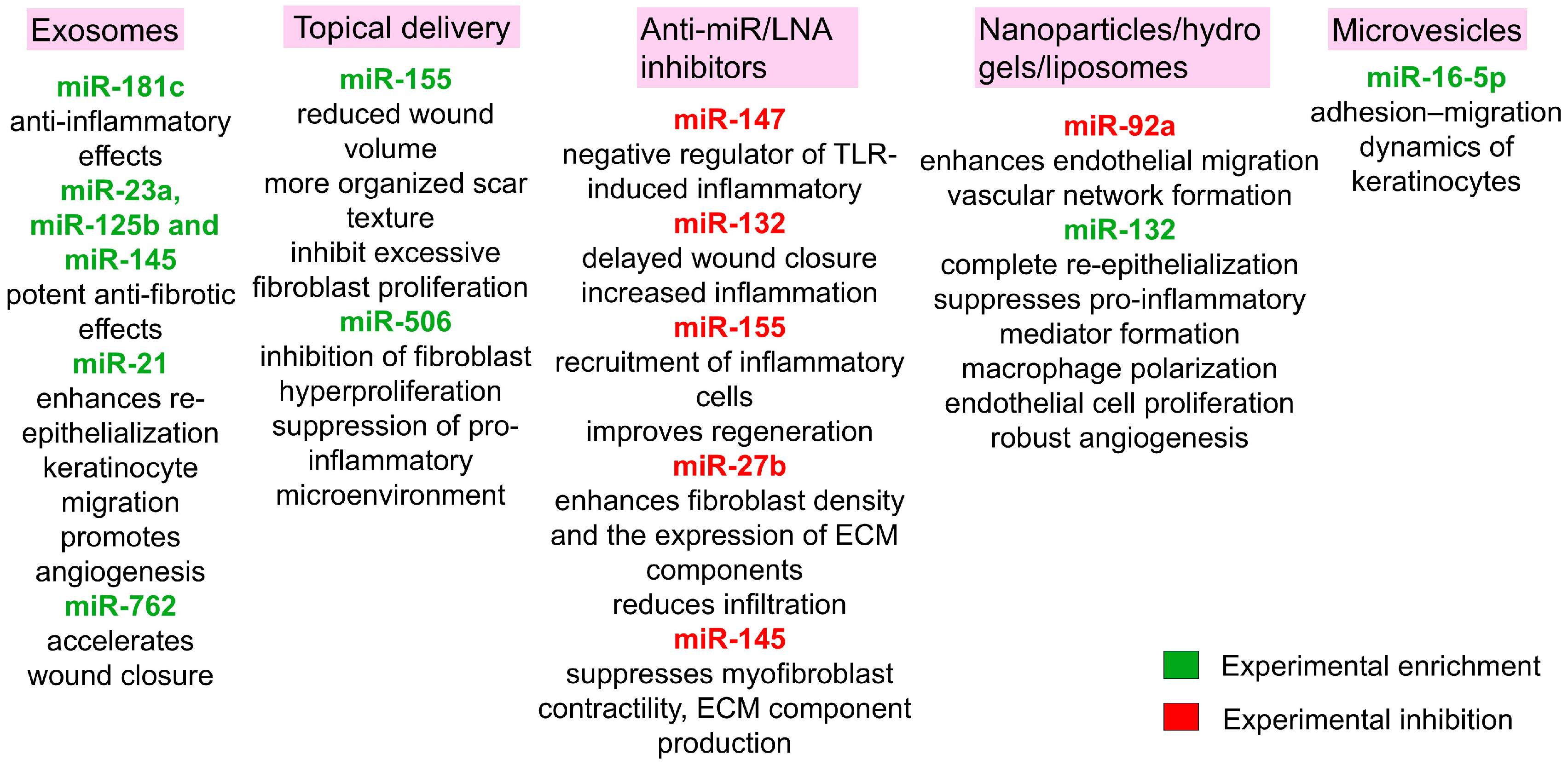 Ijms 26 10060 g007 Ijms 26 10060 g007