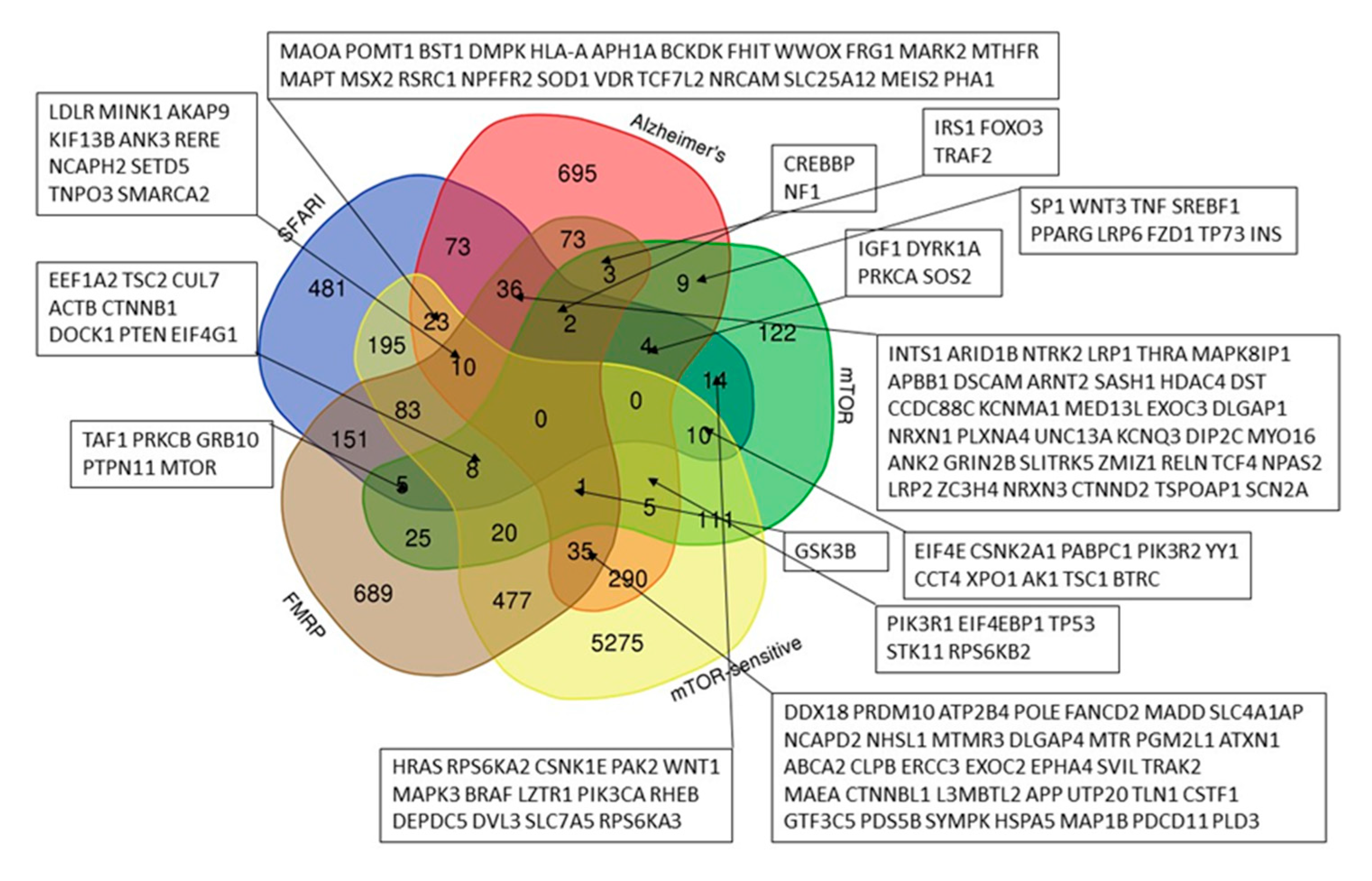 Ijms 26 10066 g001 Ijms 26 10066 g001