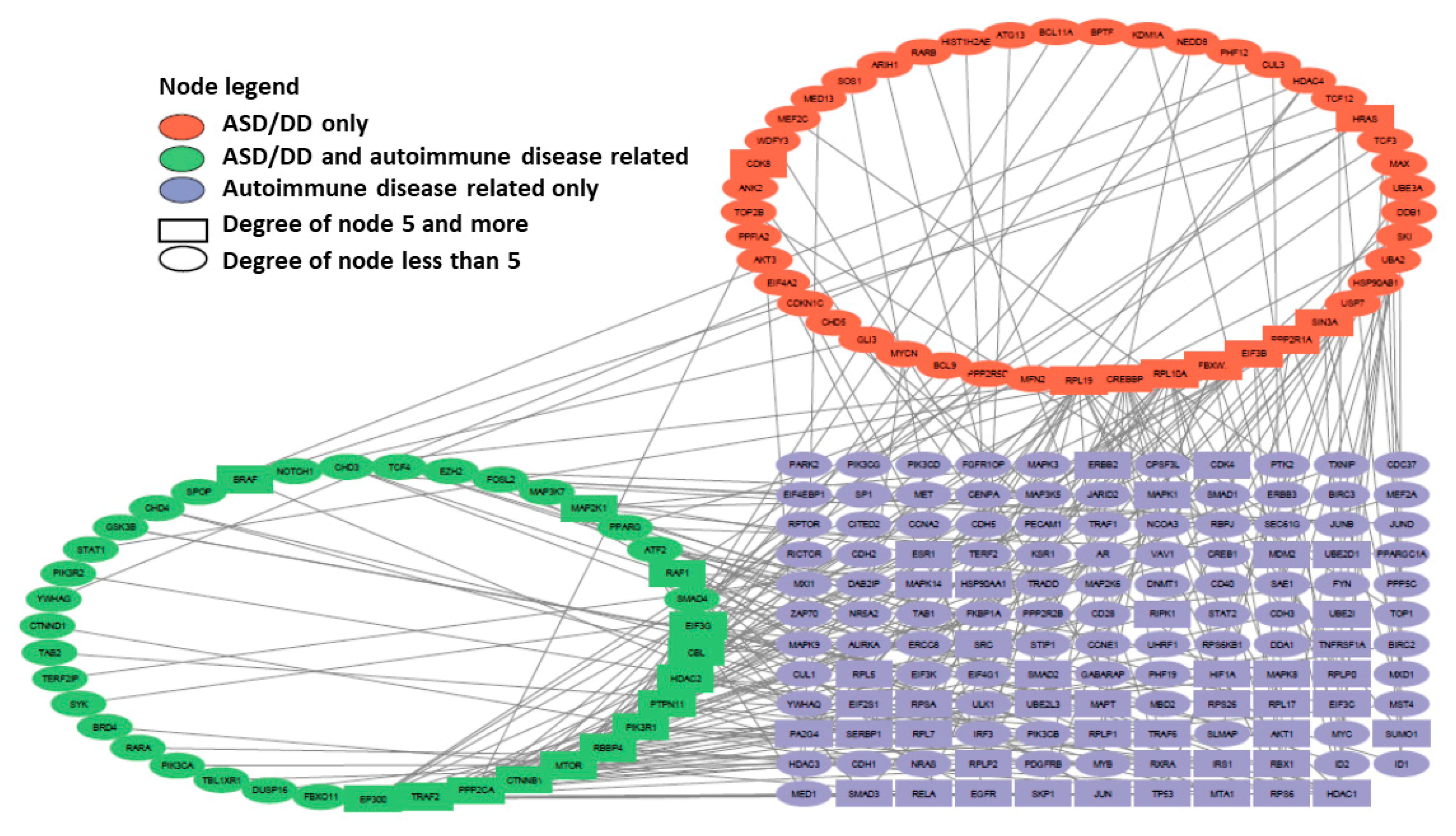 Ijms 26 10066 g005 Ijms 26 10066 g005
