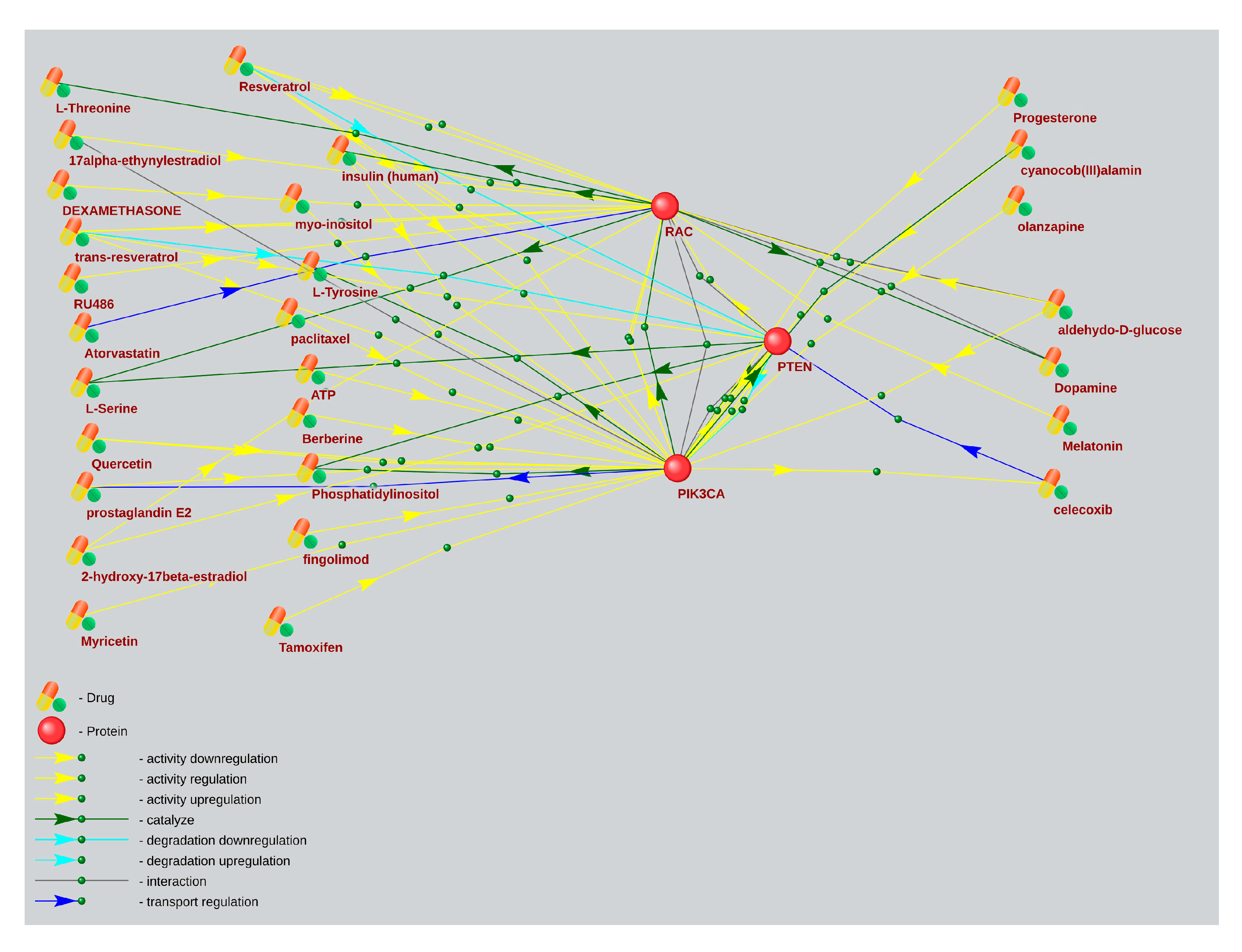 Ijms 26 10066 g007 Ijms 26 10066 g007