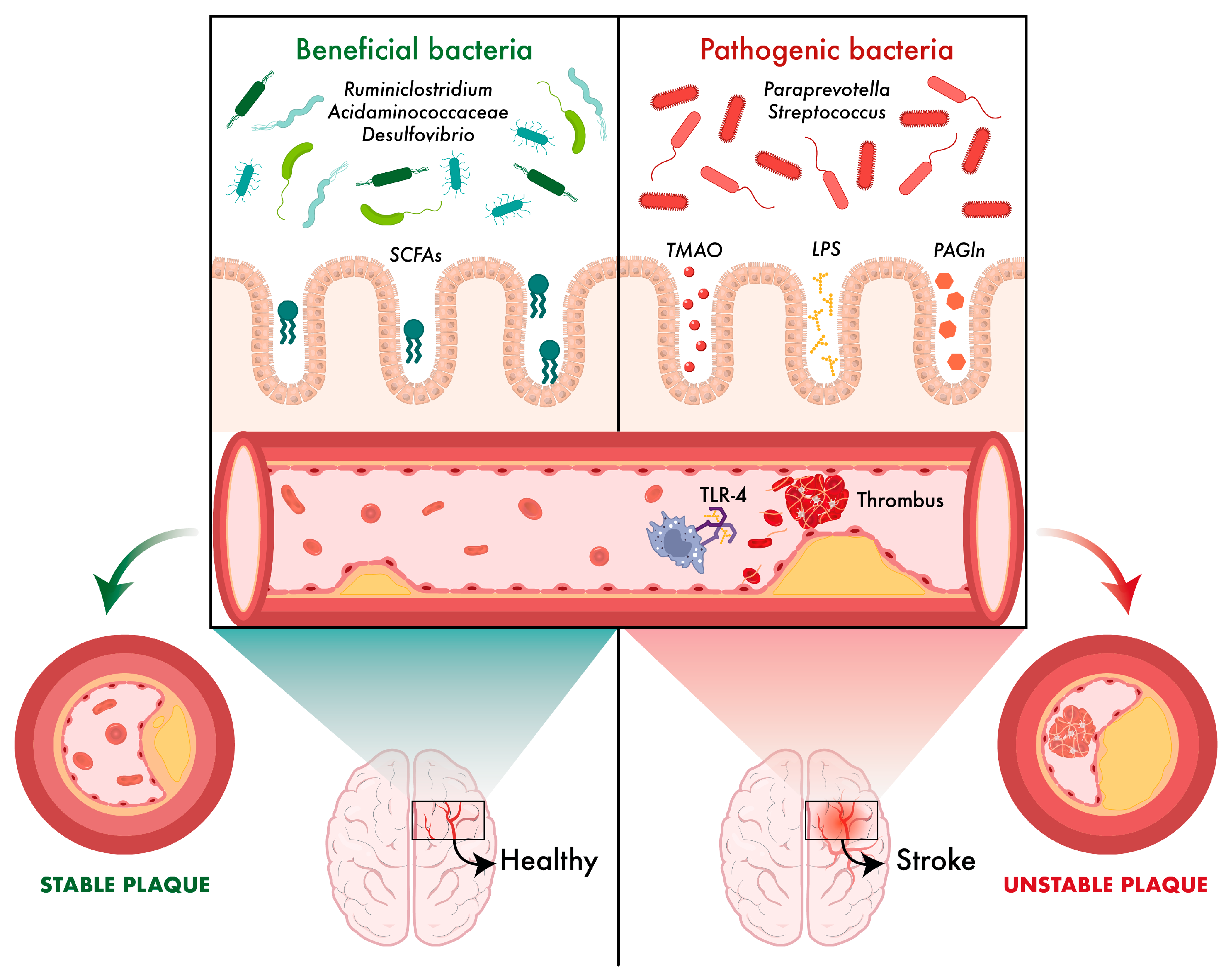 Ijms 26 10071 g002 Ijms 26 10071 g002