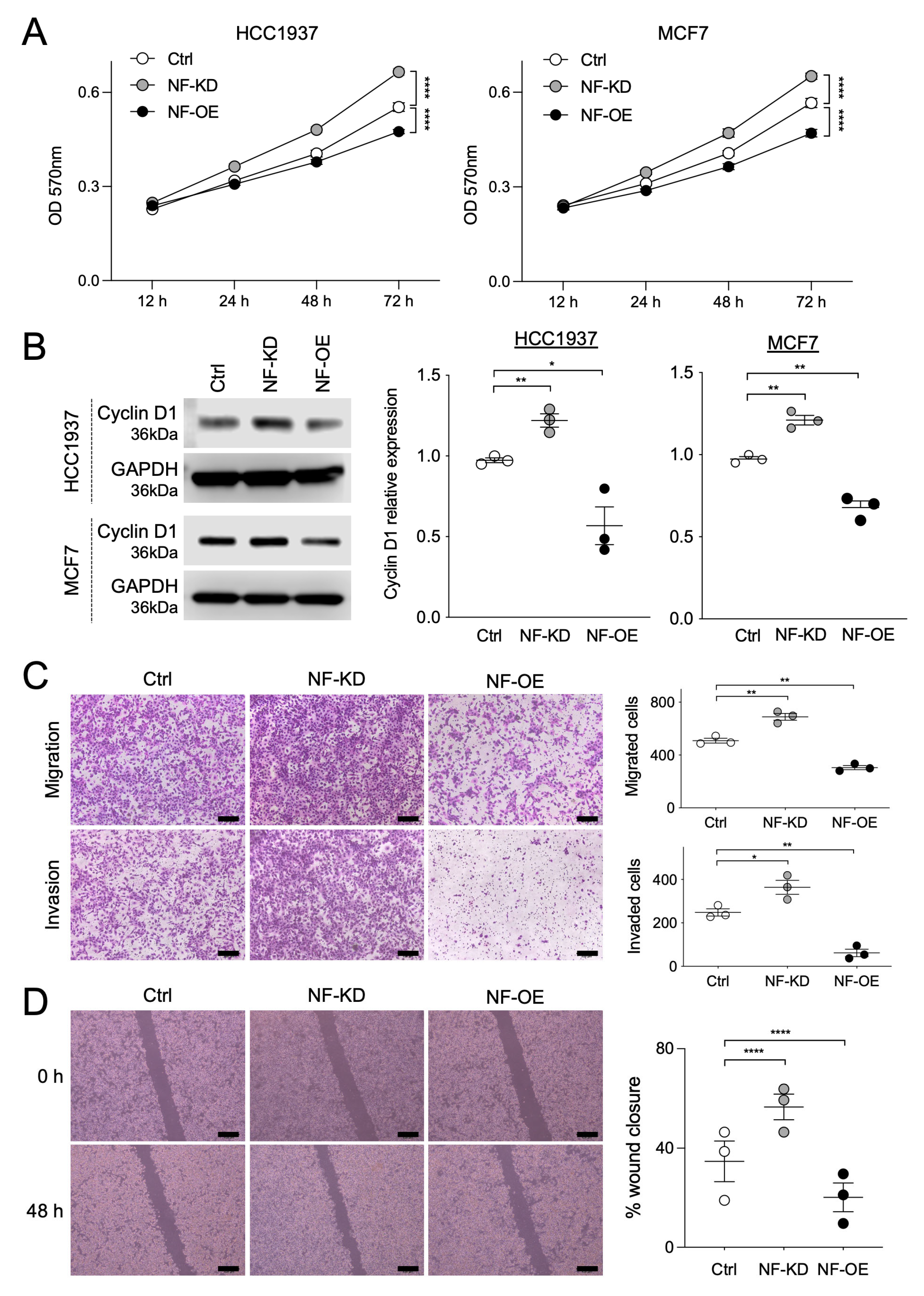 Ijms 26 10072 g002 Ijms 26 10072 g002