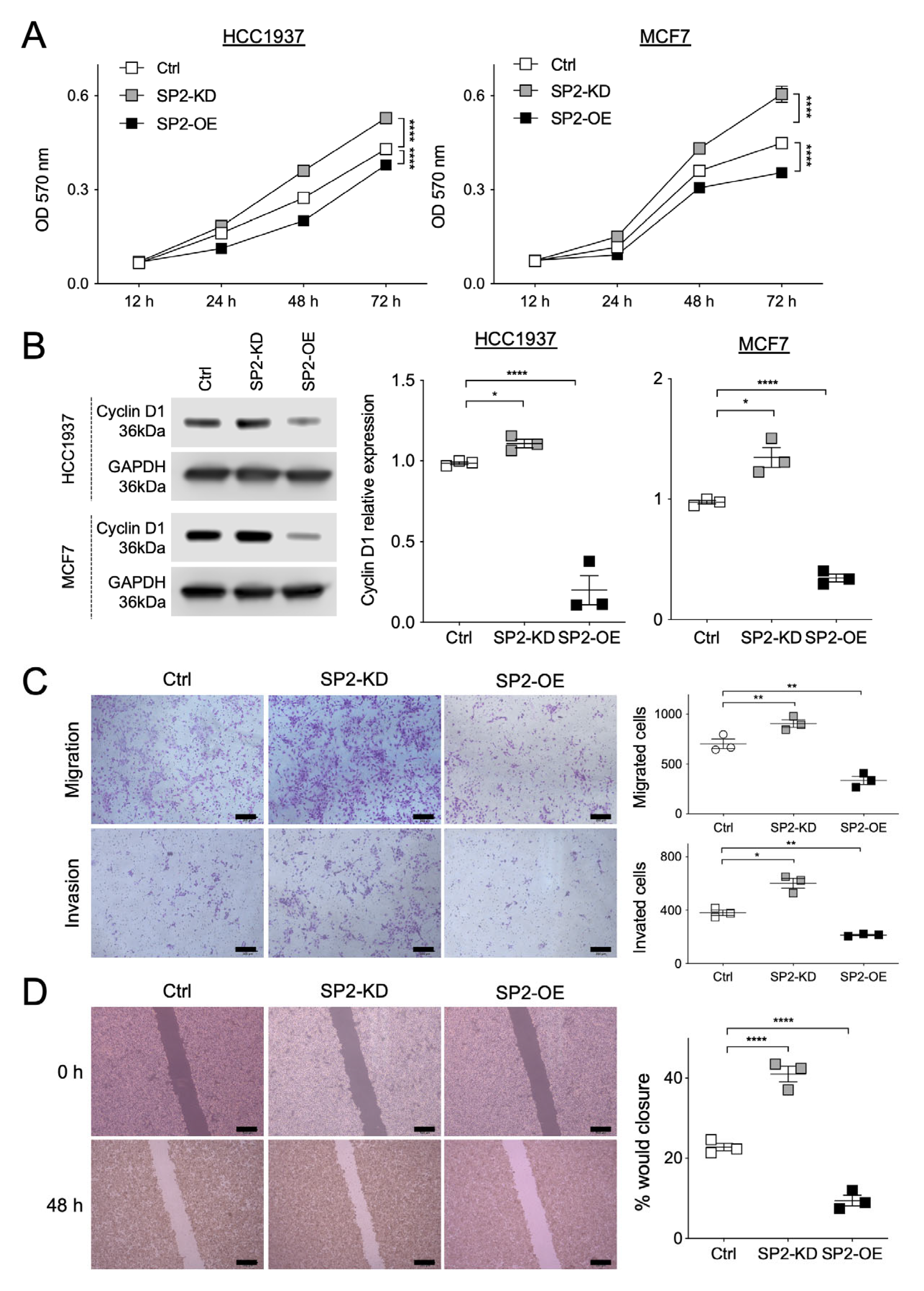 Ijms 26 10072 g003 Ijms 26 10072 g003