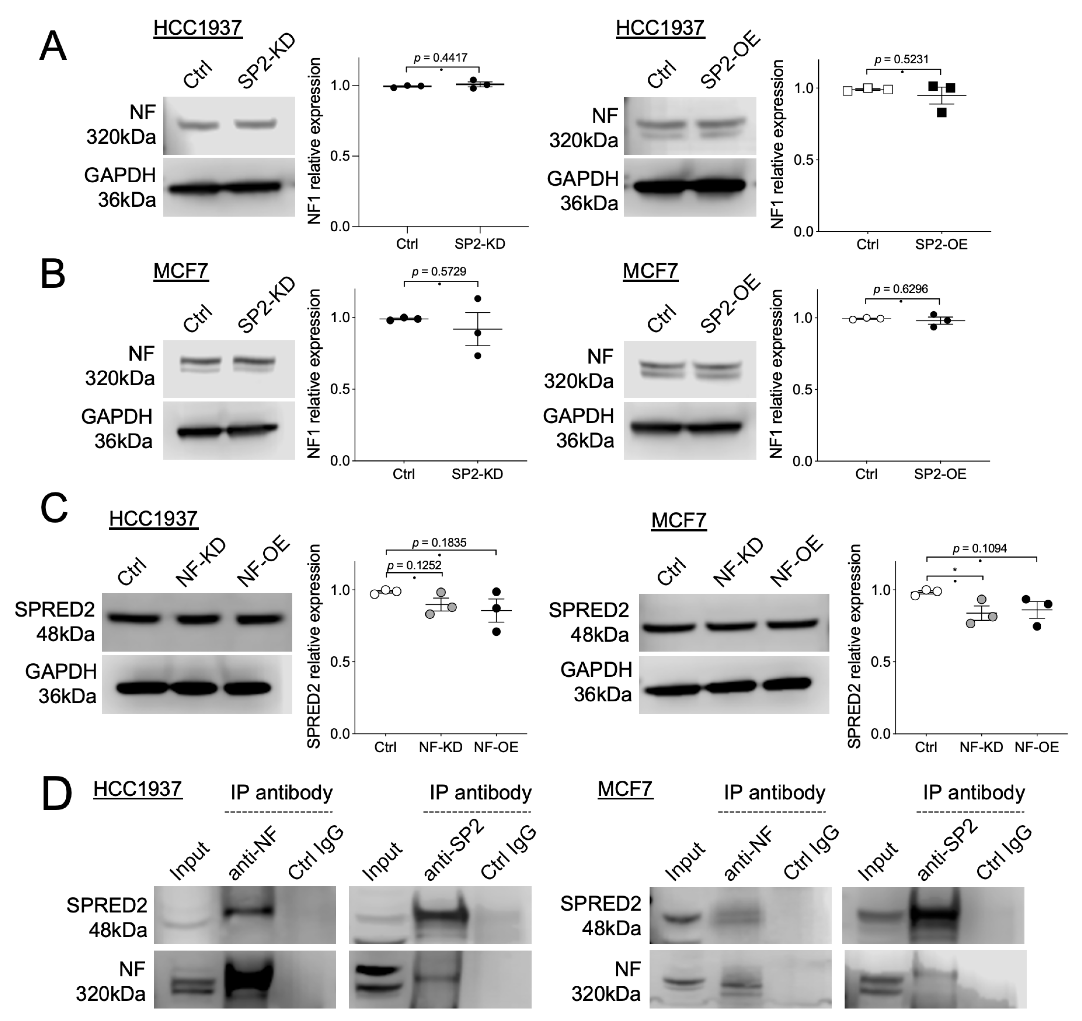 Ijms 26 10072 g005 Ijms 26 10072 g005