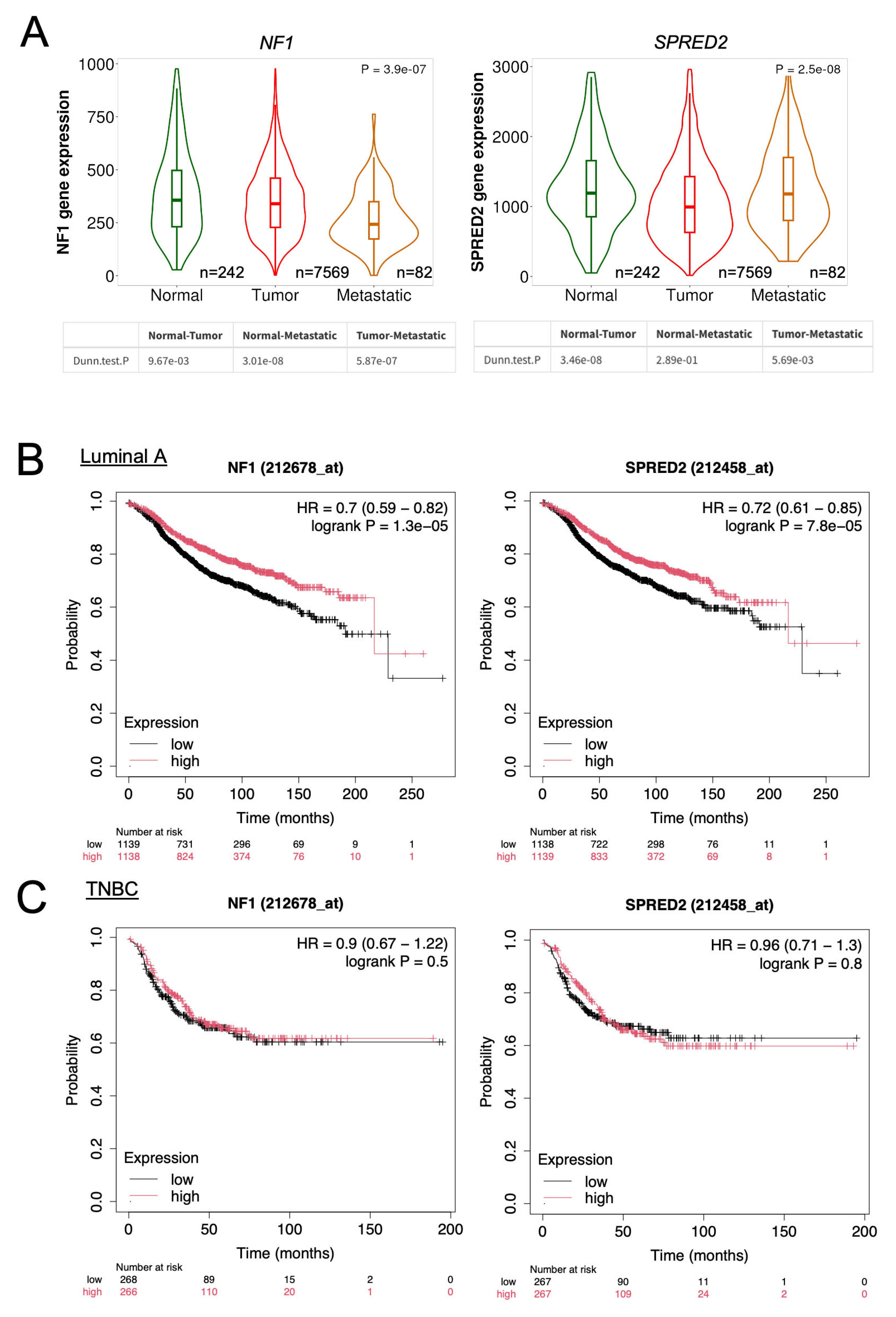 Ijms 26 10072 g008 Ijms 26 10072 g008