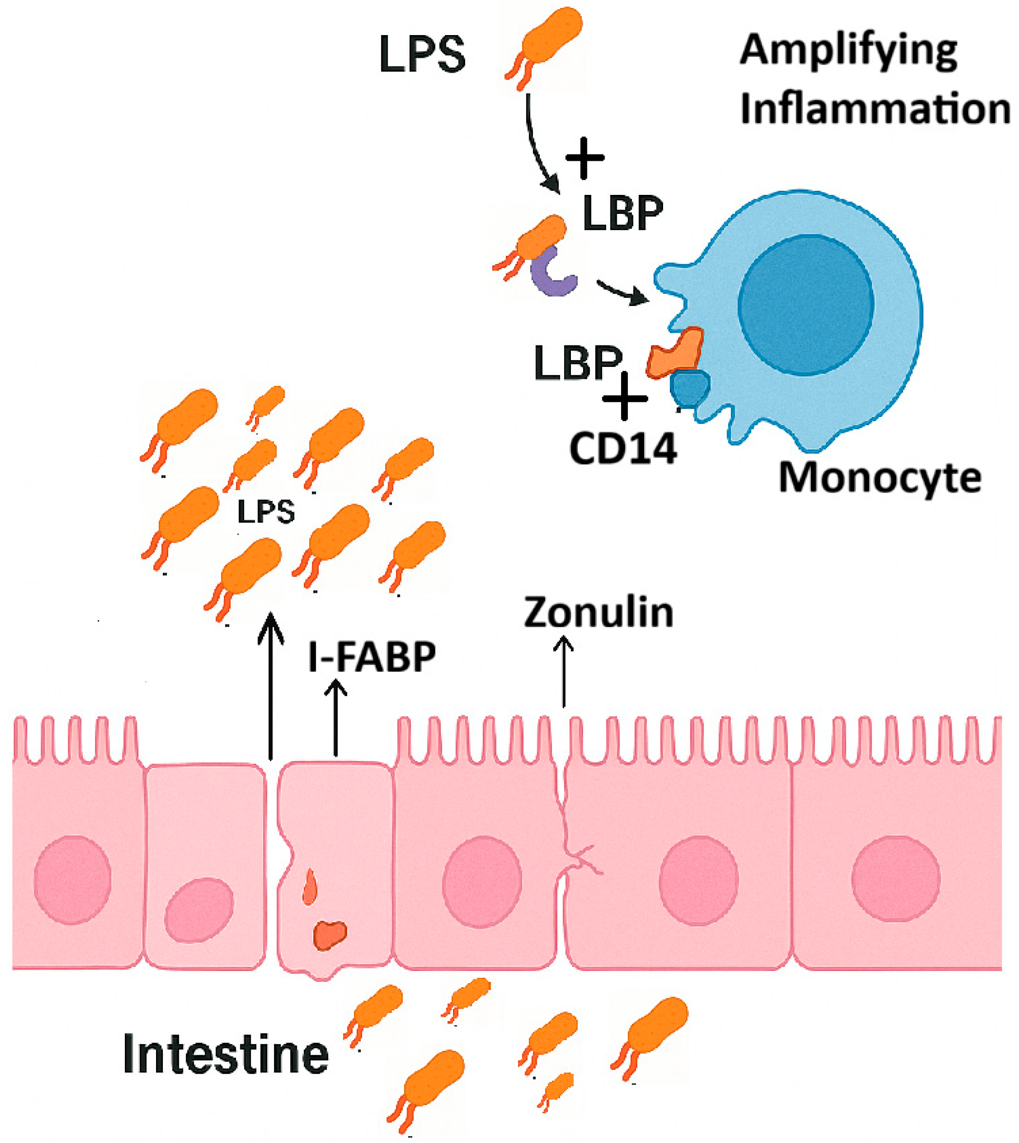 Ijms 26 10076 g001 Ijms 26 10076 g001
