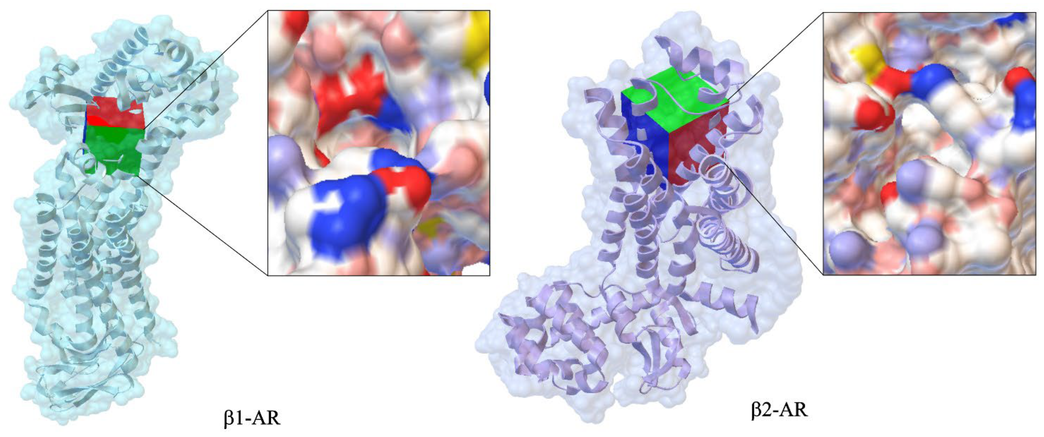 Ijms 26 10080 g002 Ijms 26 10080 g002