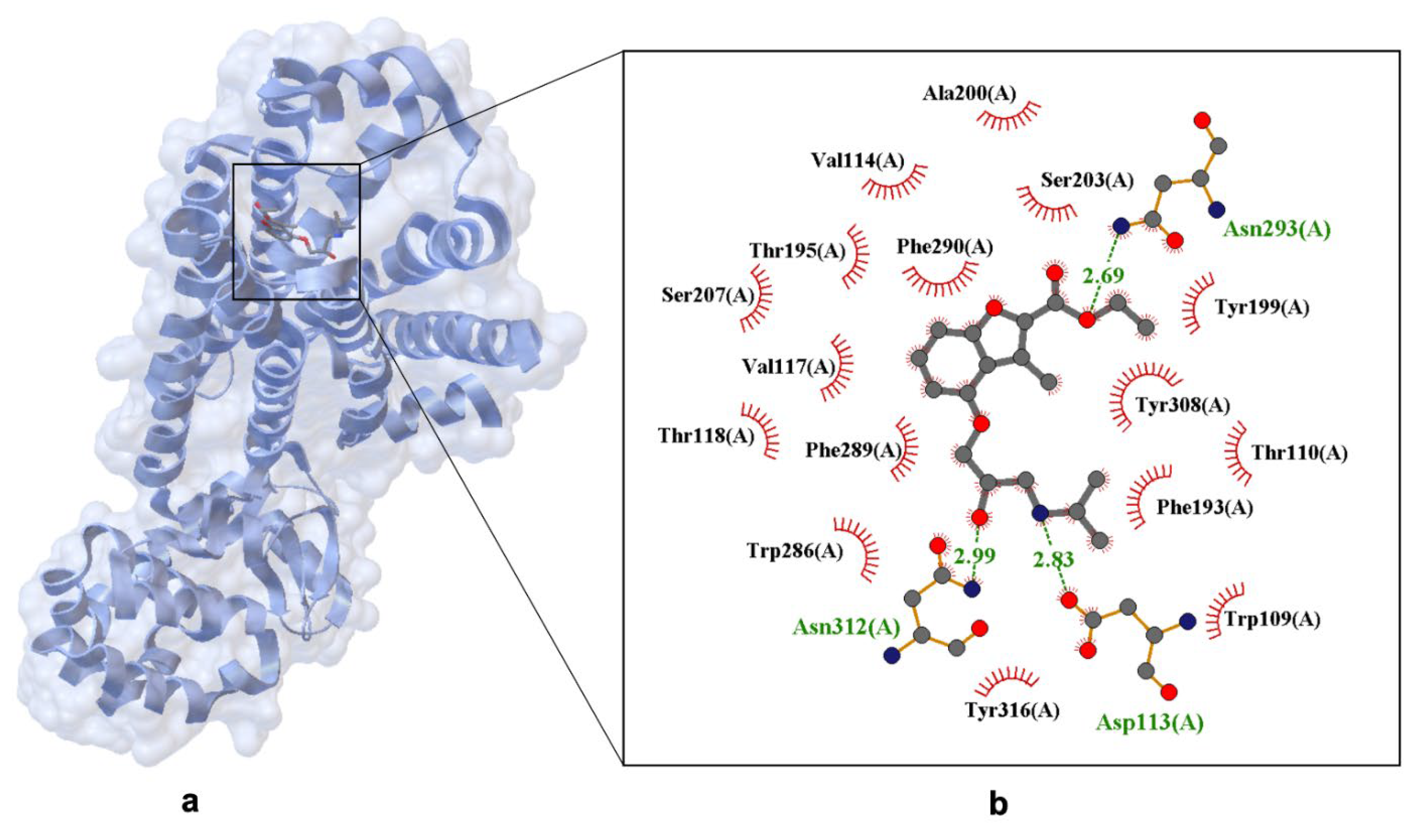 Ijms 26 10080 g003 Ijms 26 10080 g003