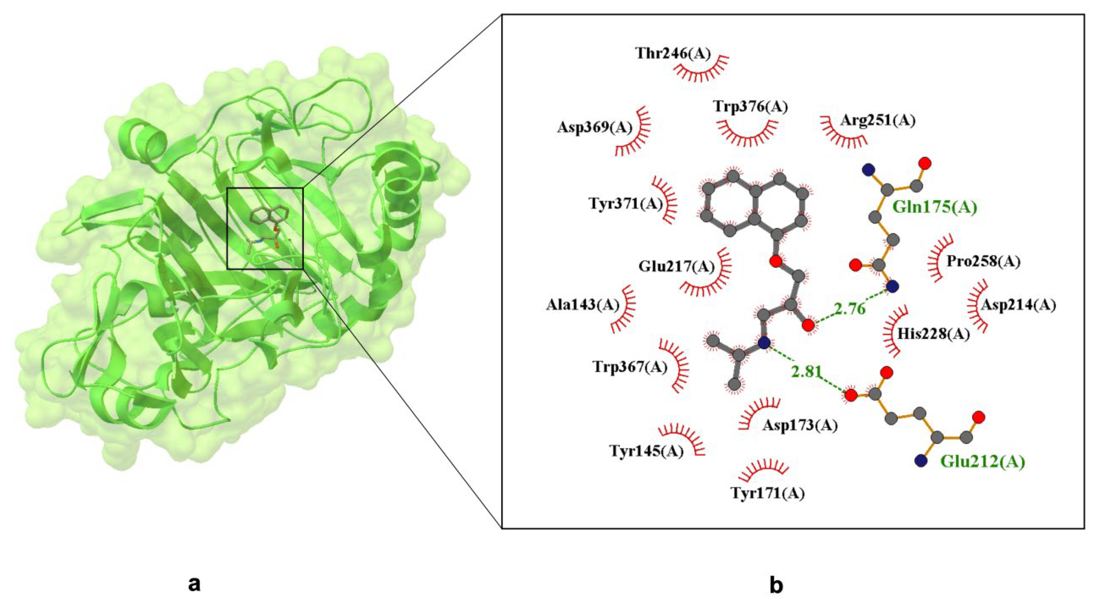 Ijms 26 10080 g004 Ijms 26 10080 g004
