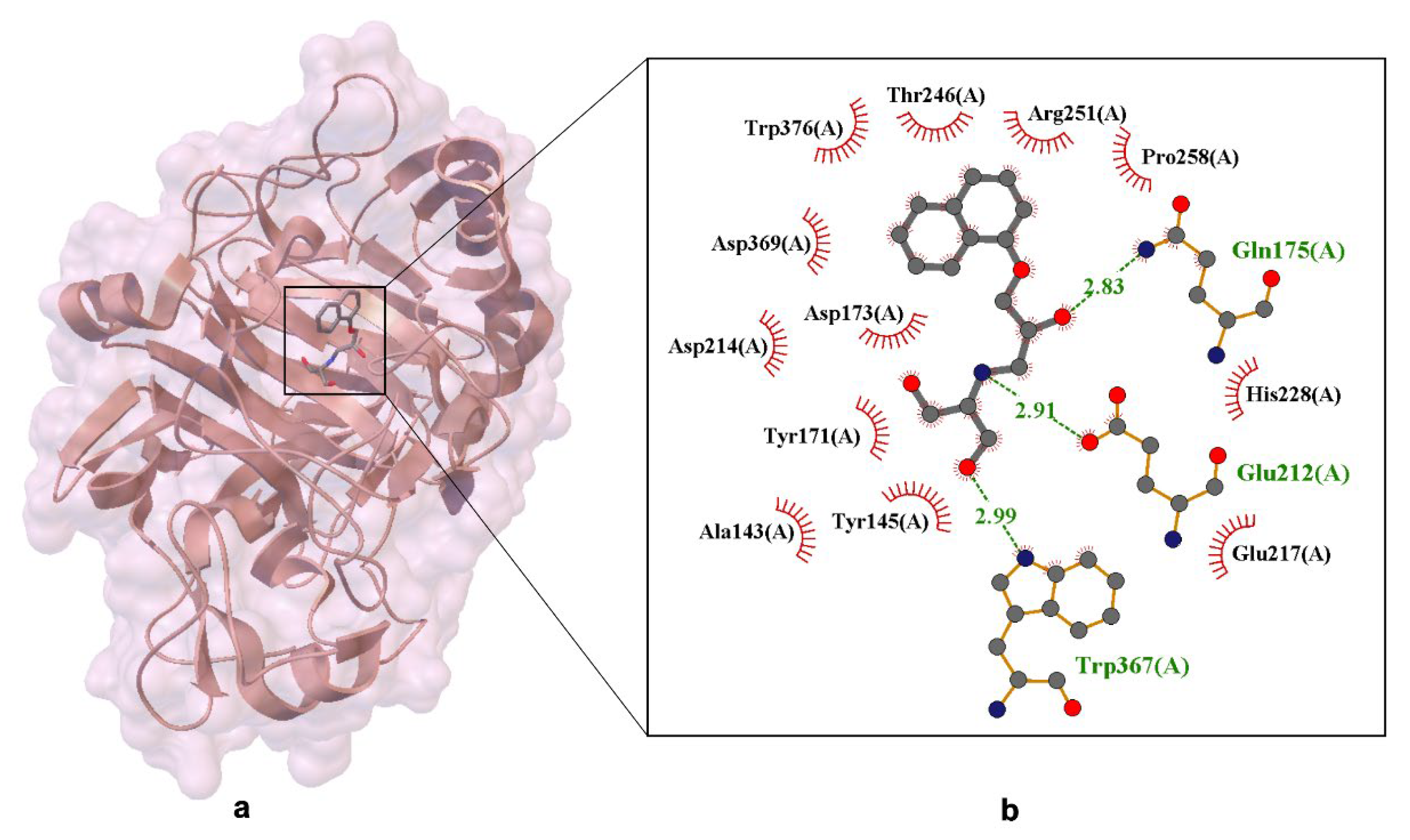 Ijms 26 10080 g005 Ijms 26 10080 g005