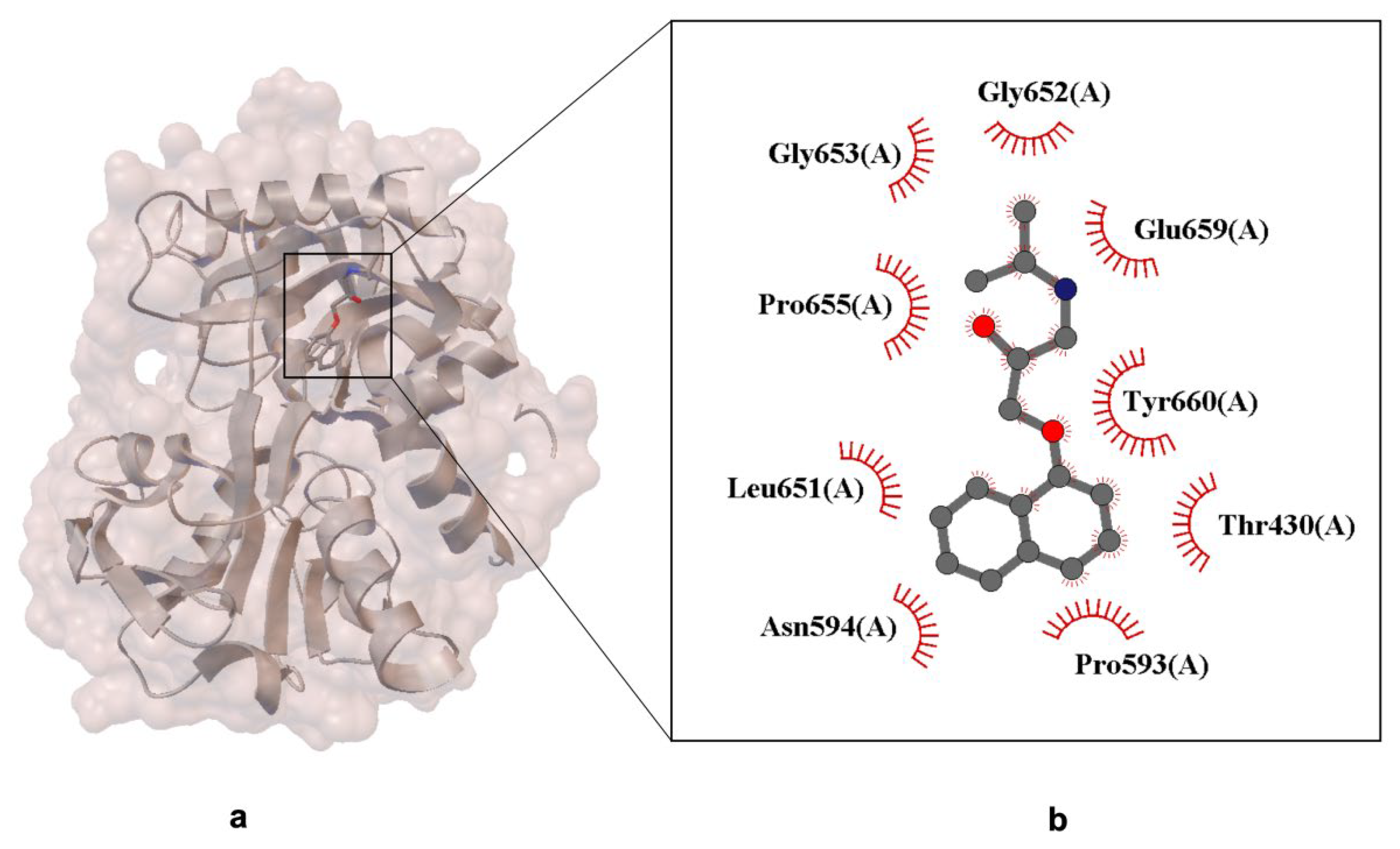 Ijms 26 10080 g006 Ijms 26 10080 g006
