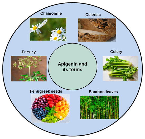 Therapeutic Potential and Cancer Cell Death-Inducing Effects of