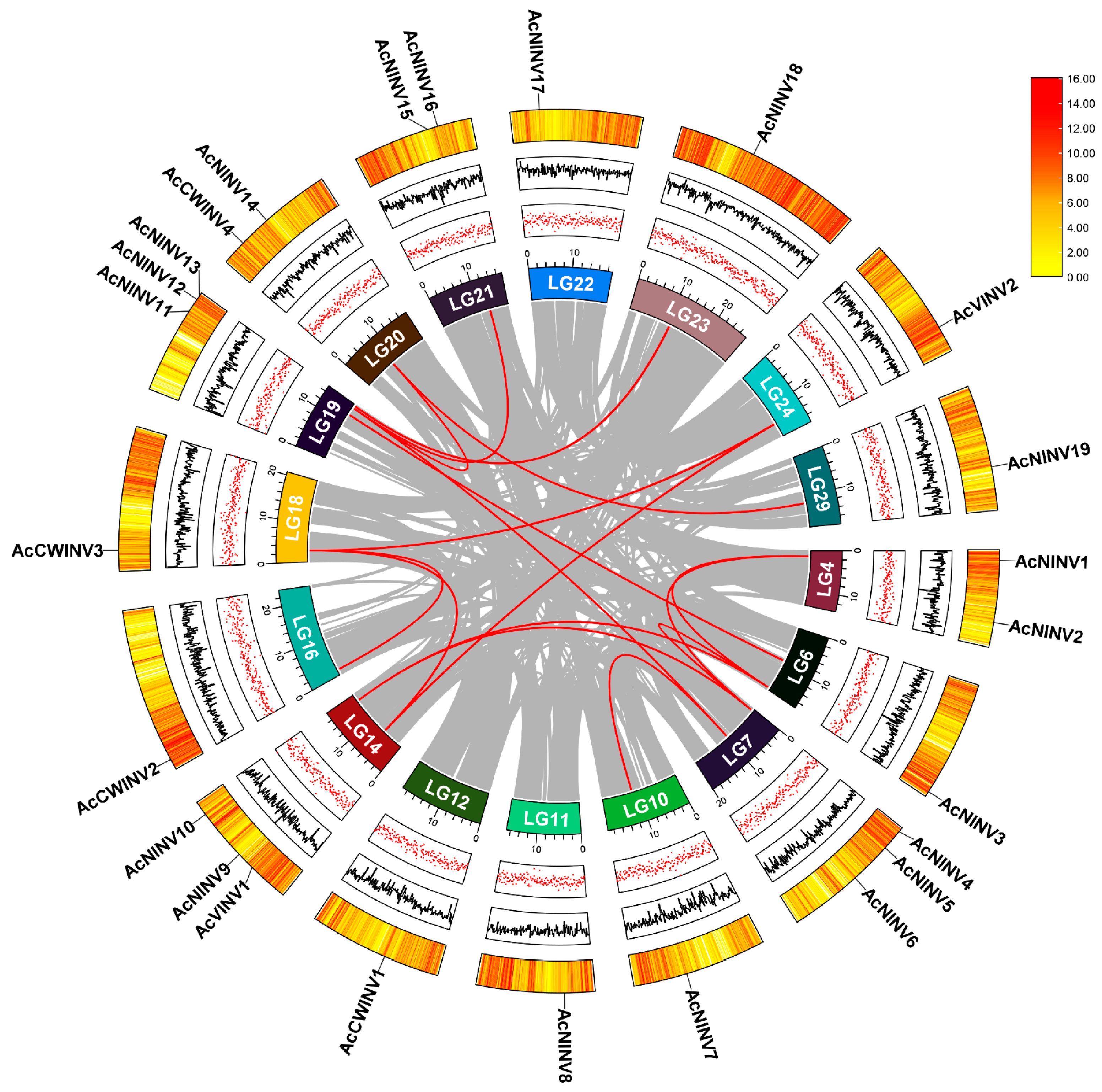Ijms 26 10089 g001 Ijms 26 10089 g001