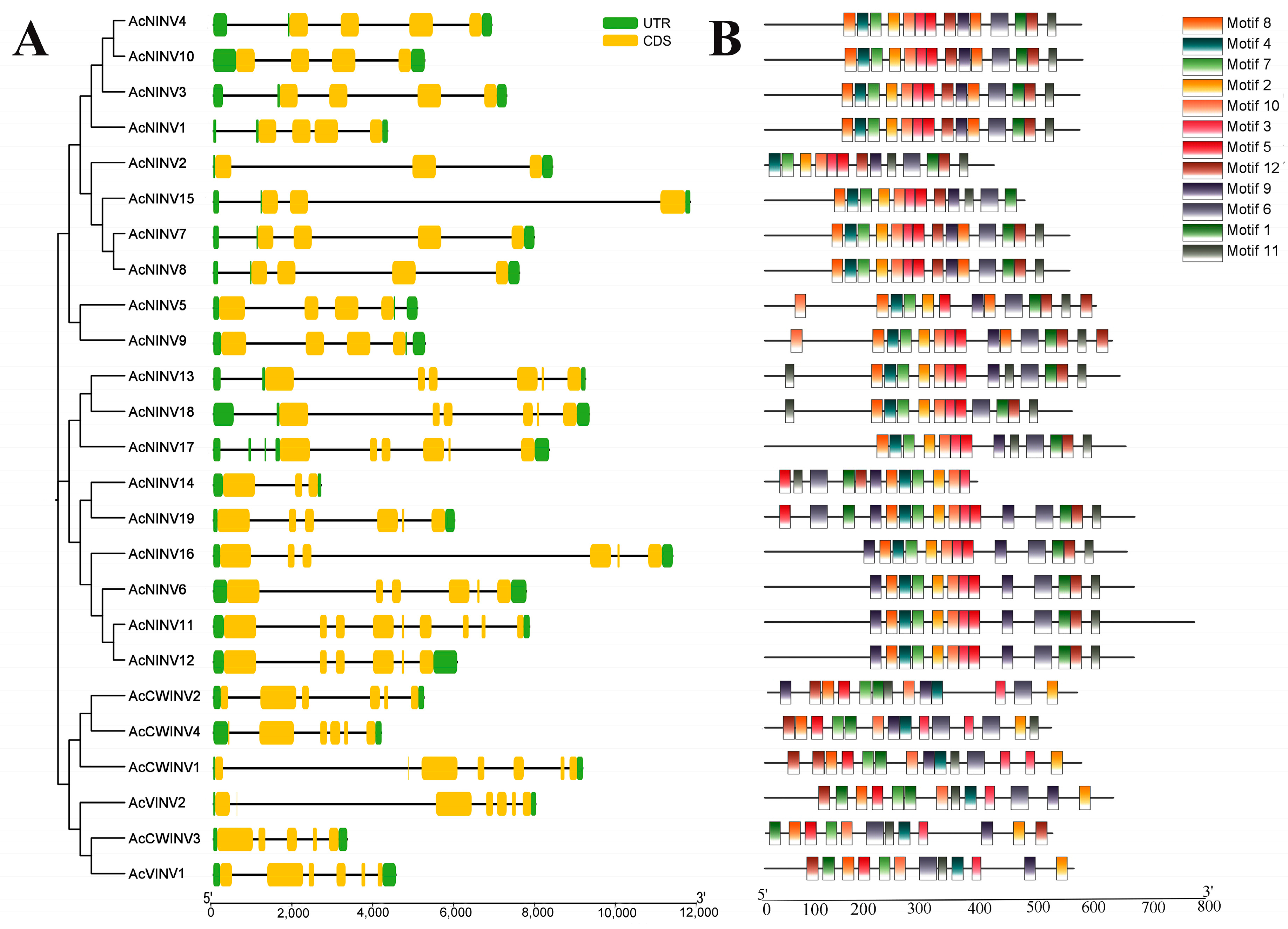 Ijms 26 10089 g002 Ijms 26 10089 g002