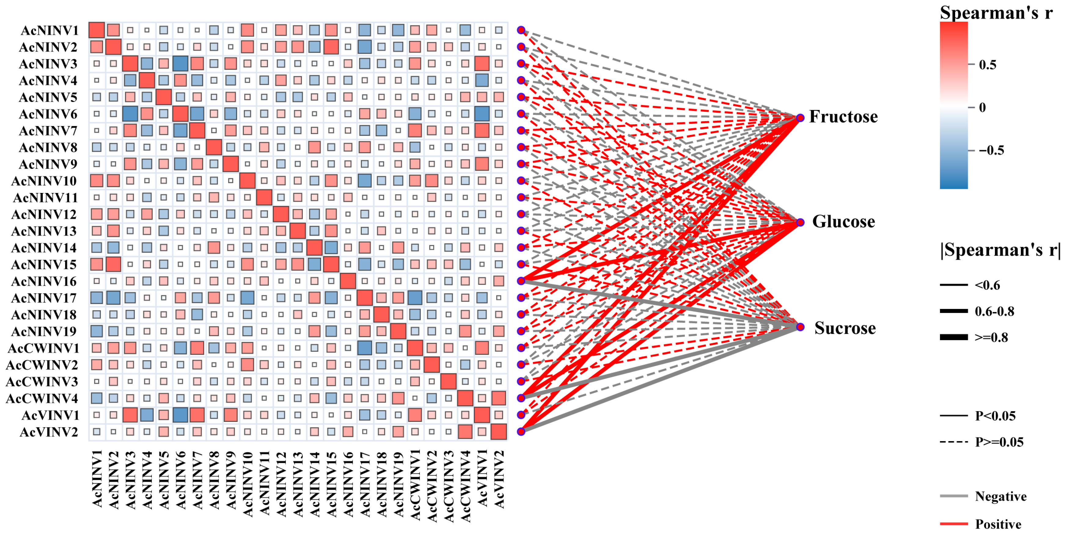Ijms 26 10089 g004 Ijms 26 10089 g004